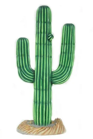 cactus-large-6ft.jpg