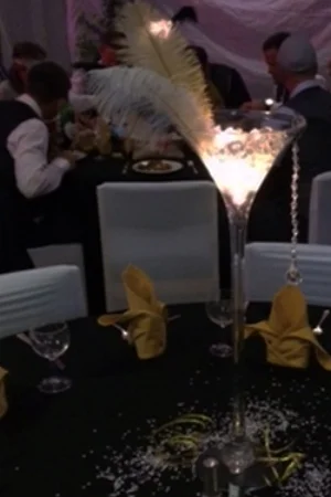 Illuminated cocktail glass with feathers
