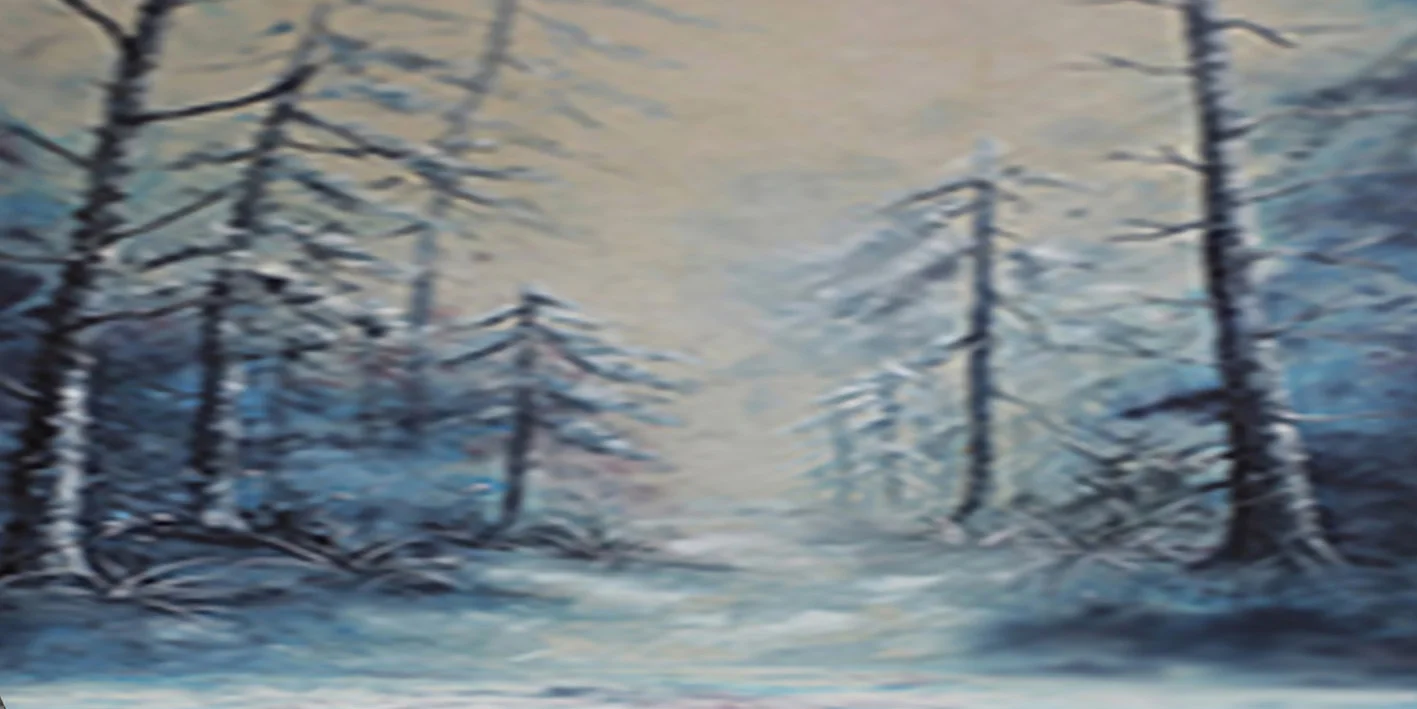Backdrop - Winter Wood - 2 available Measurements - both approximately 6m x 3m (20' x 10') Can be supplied with freestanding, goal post style stand