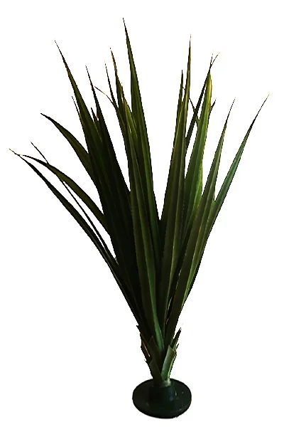 Cactus - Aloe Vera - 1.4m