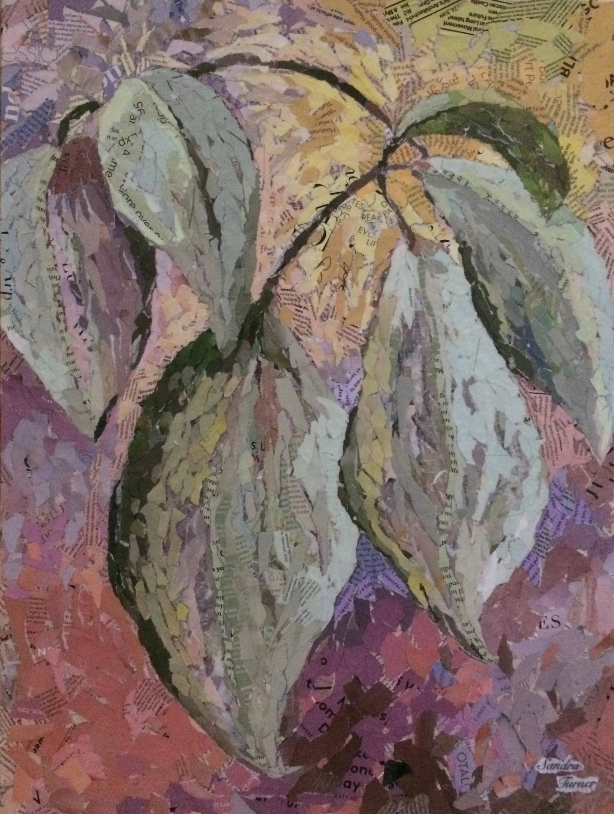 24" x 18"