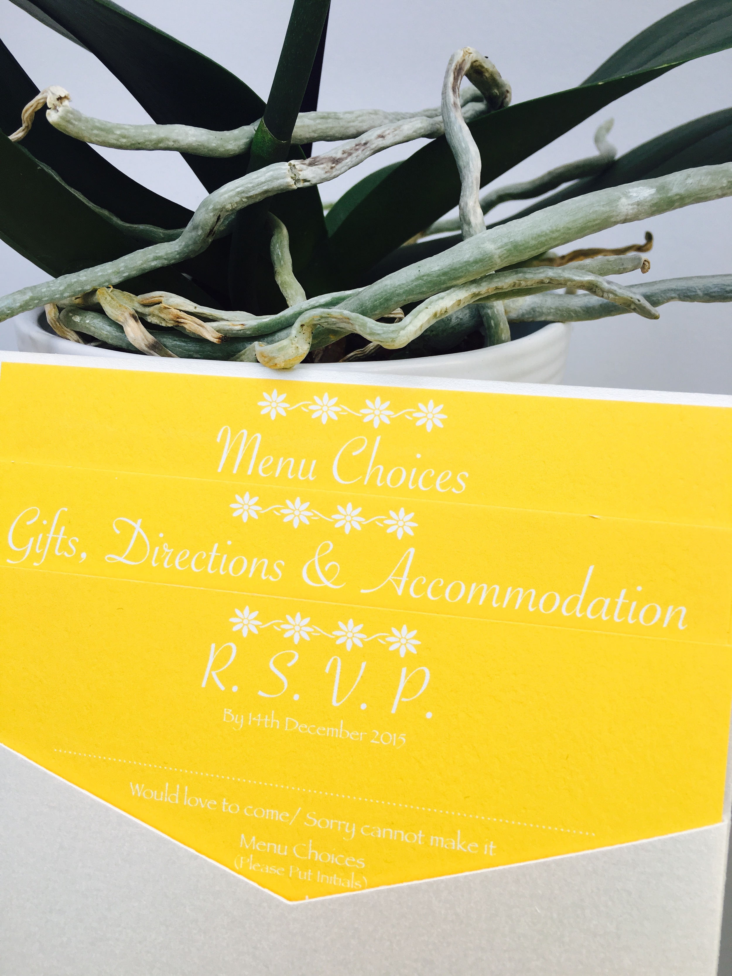 pocketfold wedding invitation