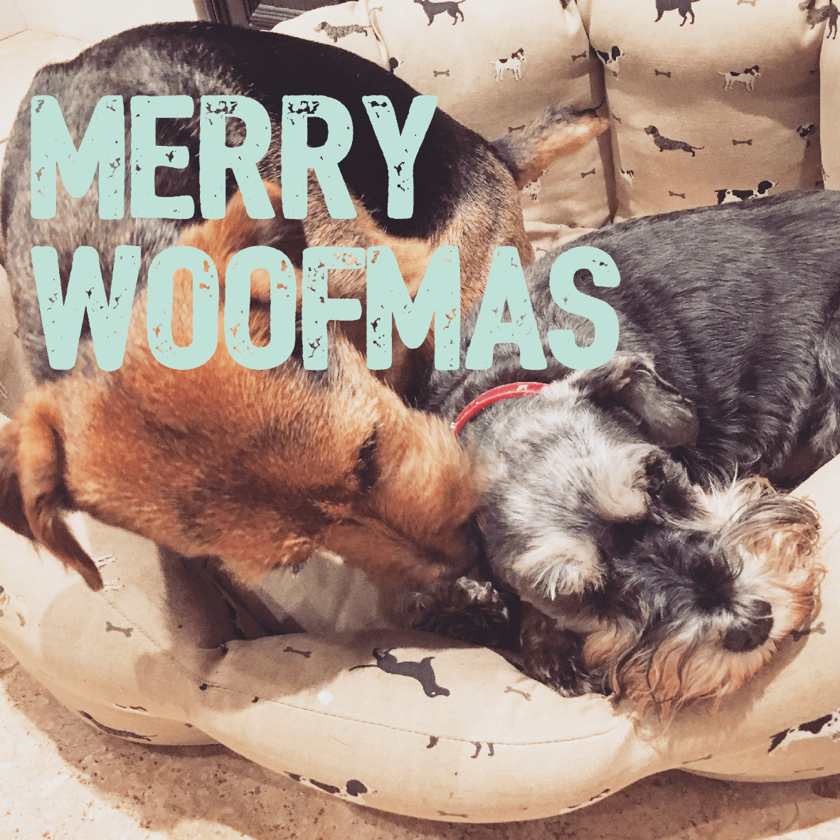 personalised christmas cards