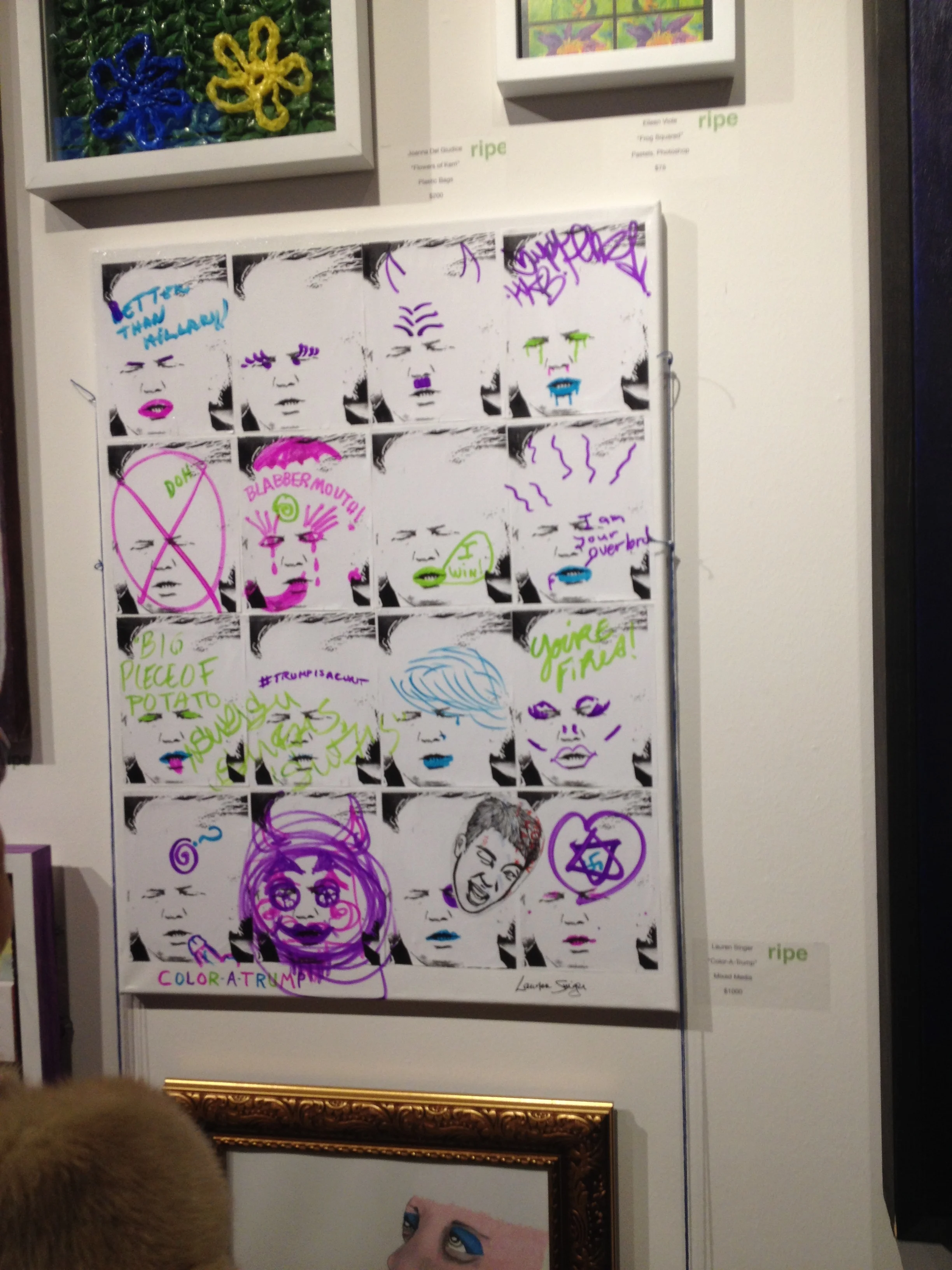 Color-A-Trump (almost finished)