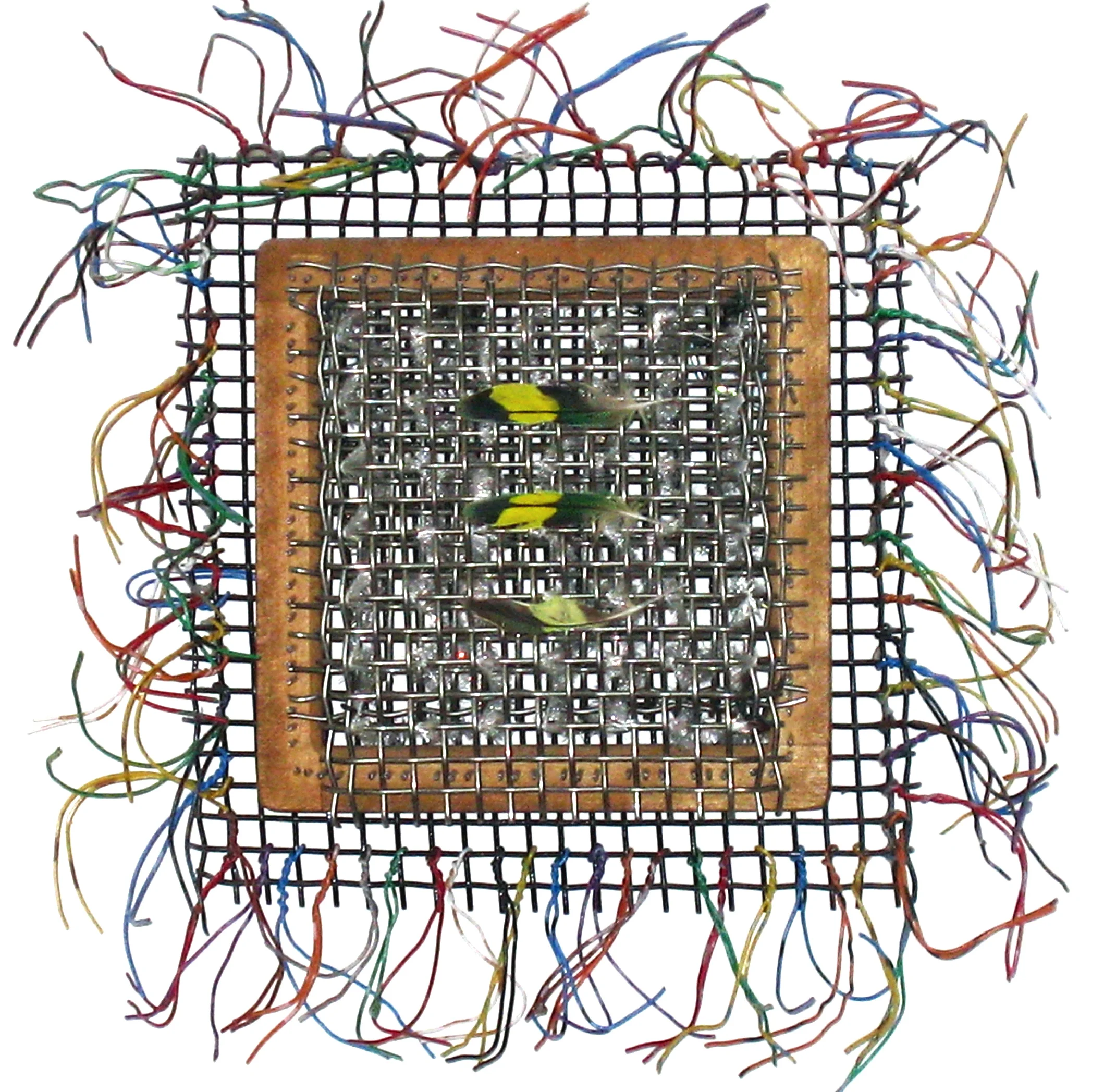 From One Bird To Another