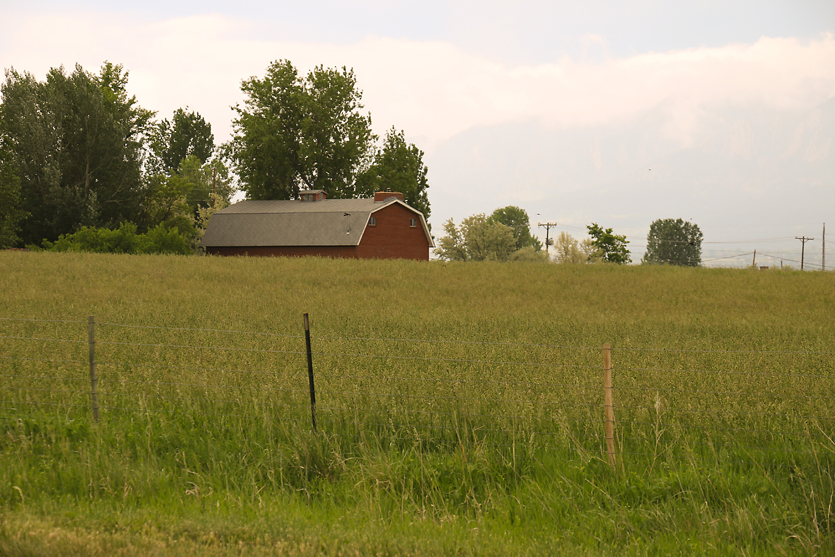 Bucolic Boulder county