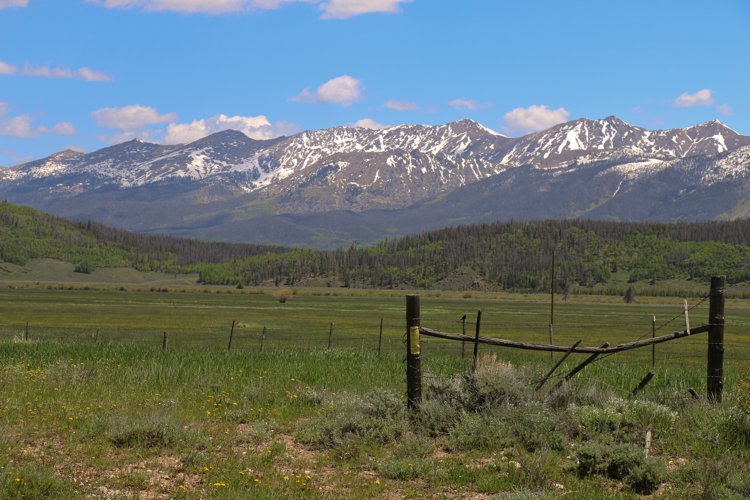 Rocky Mountain National Park in the distance