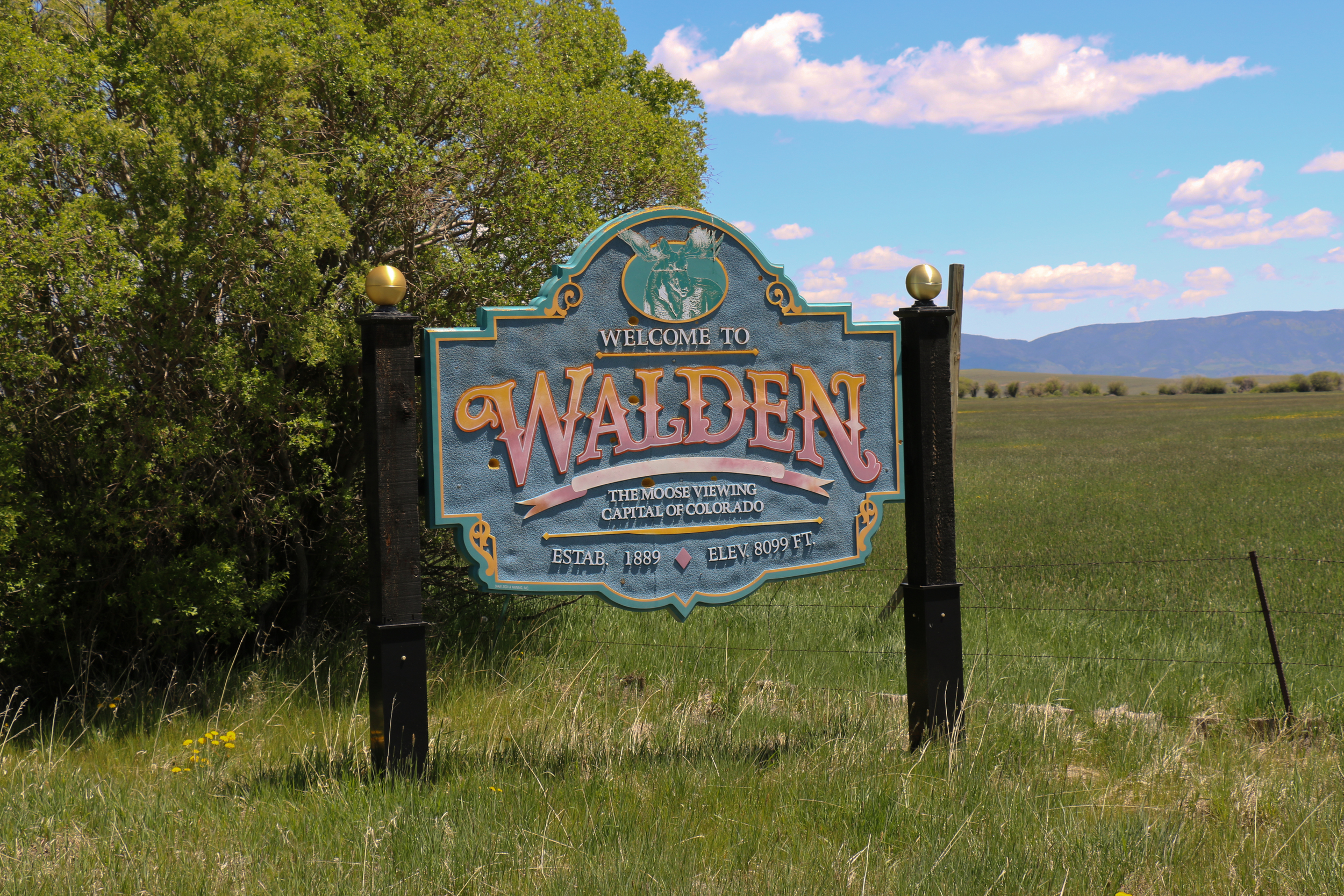 Entering Walden