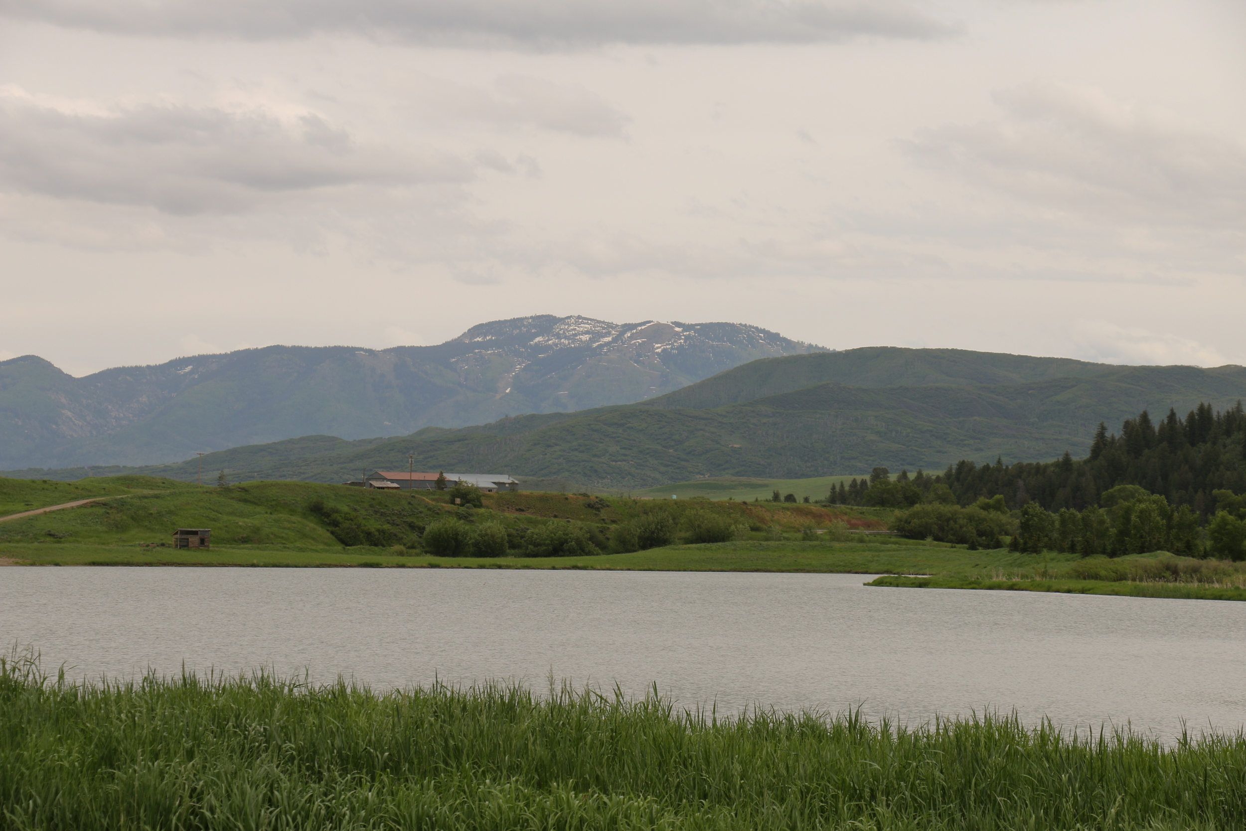 The beautiful Yampa River valley