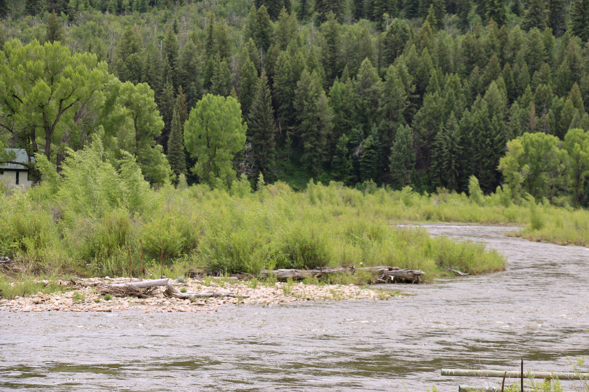 The Yampa River...where's Steve?