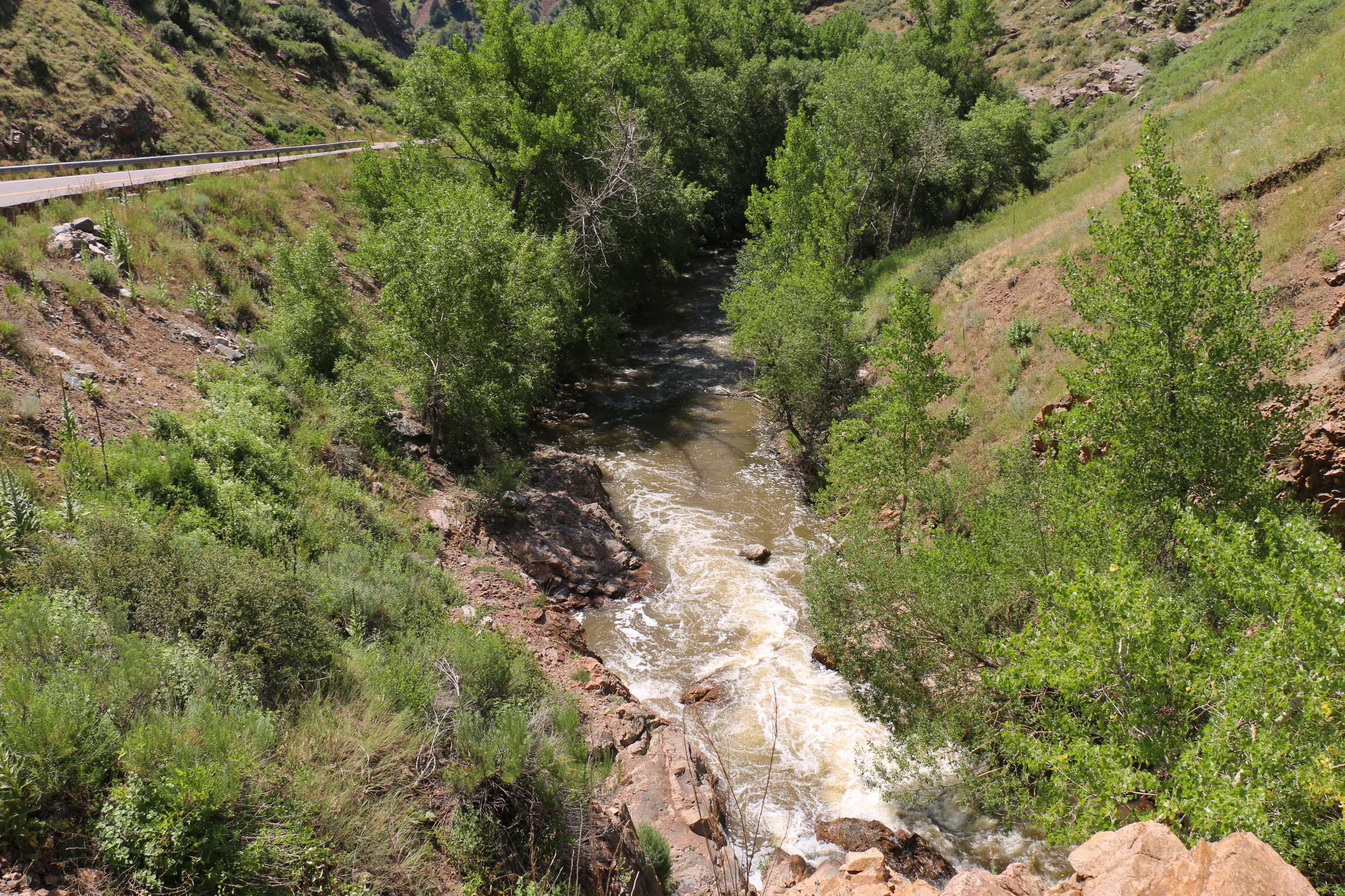 Bear Creek flowing along