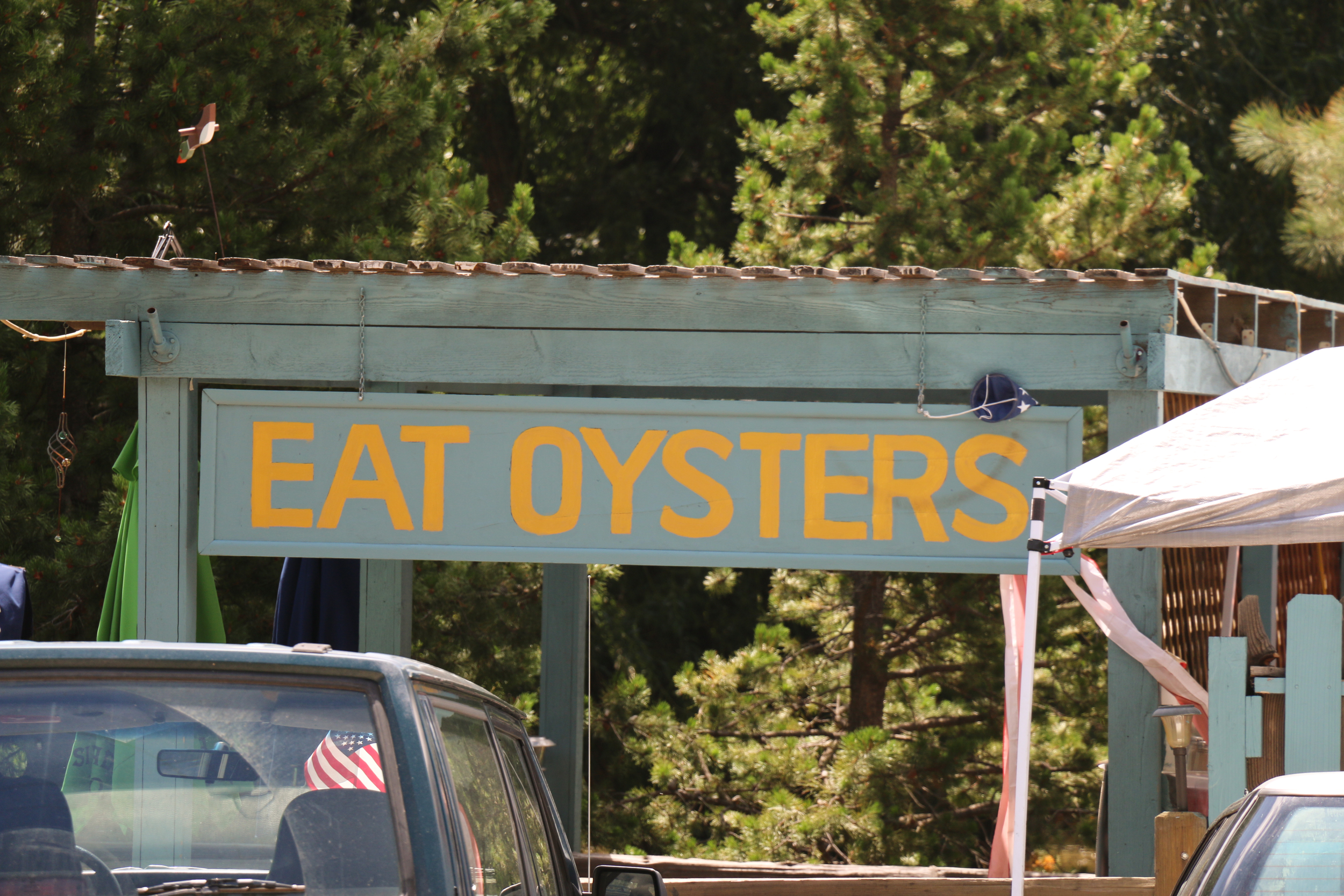 We're in the Rocky Mountains. What kind of Oysters?