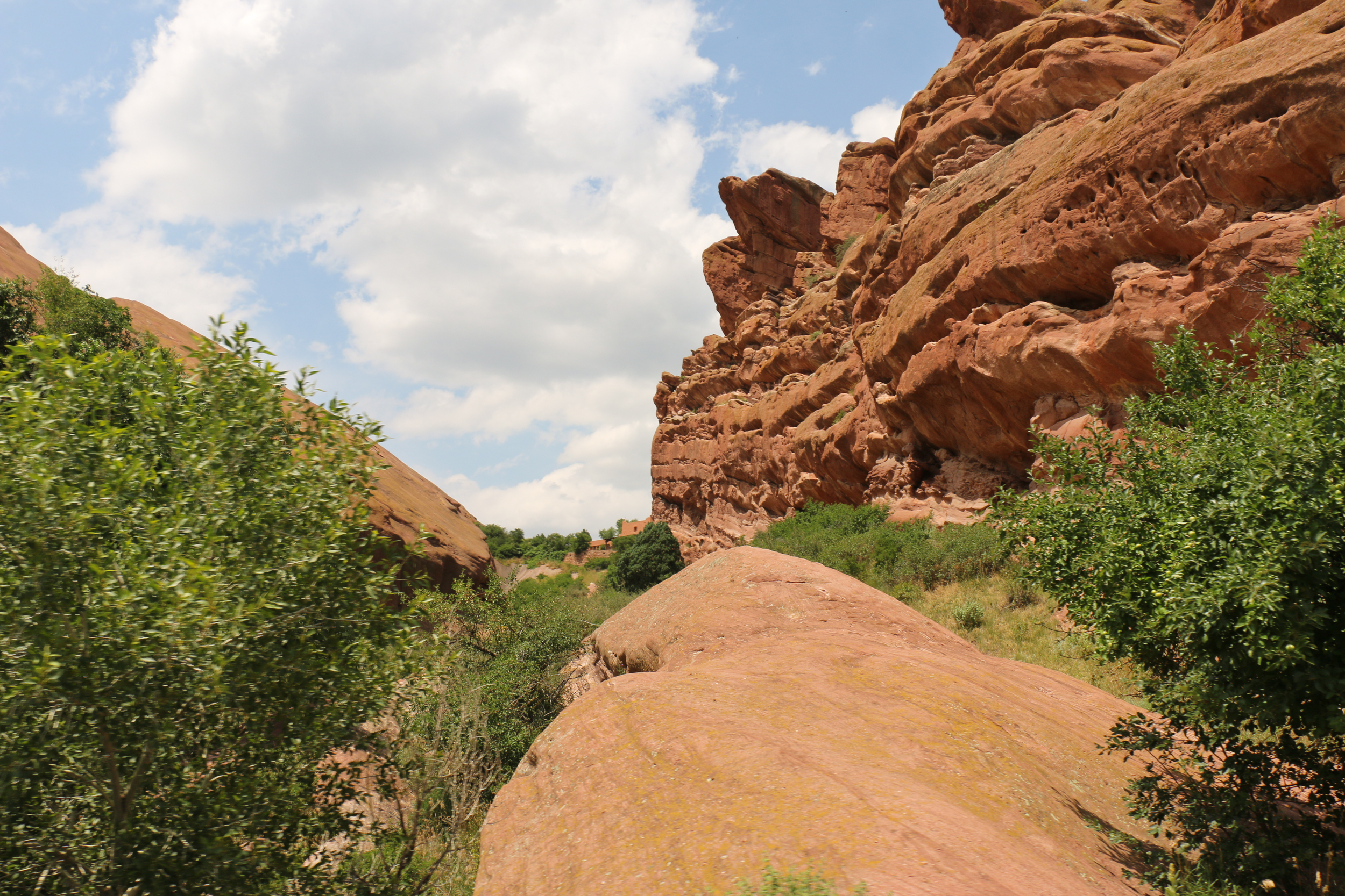 These "rocks" never cease to amaze...