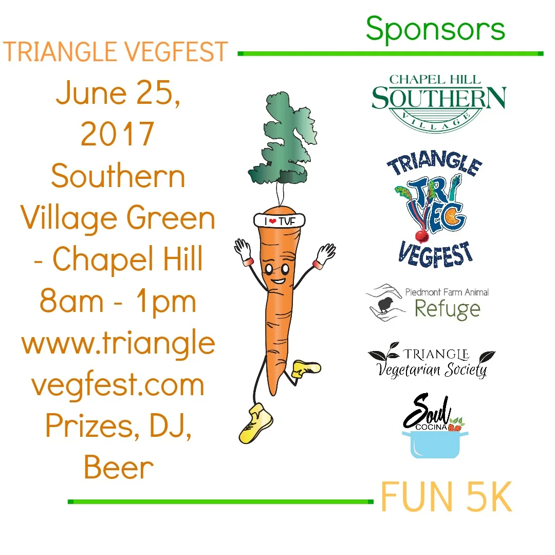 TVF-5k-banner-800h.jpg