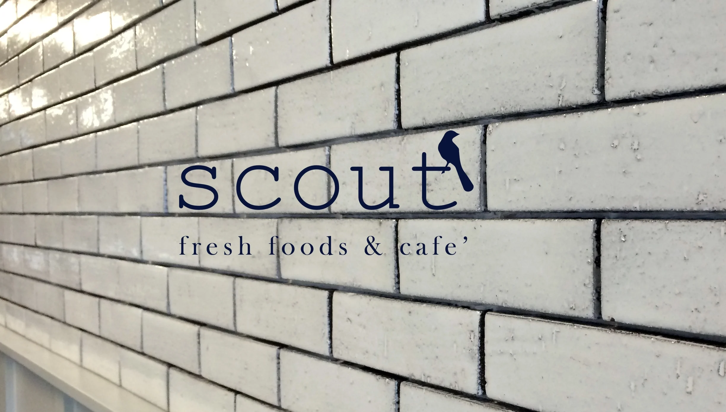 scout tile.jpg