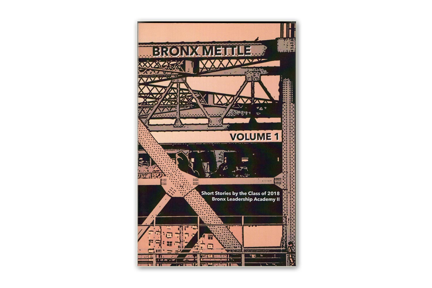 Using 826NYC lesson plans, I taught 12 small group writing sessions at Bronx Leadership Academy II High School. Students each wrote and revised a short story published in "Bronx Mettle."