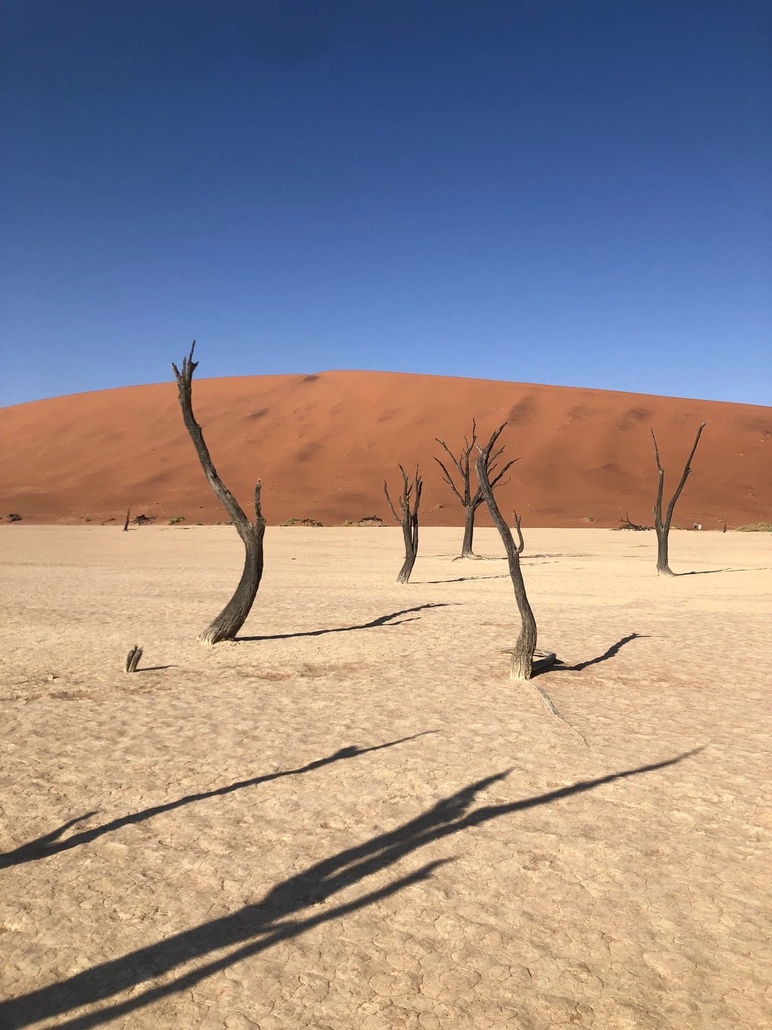 Dead Vlei Shadows Namib-Naukluft National Park © Flyga Twiga™ LLC.jpg
