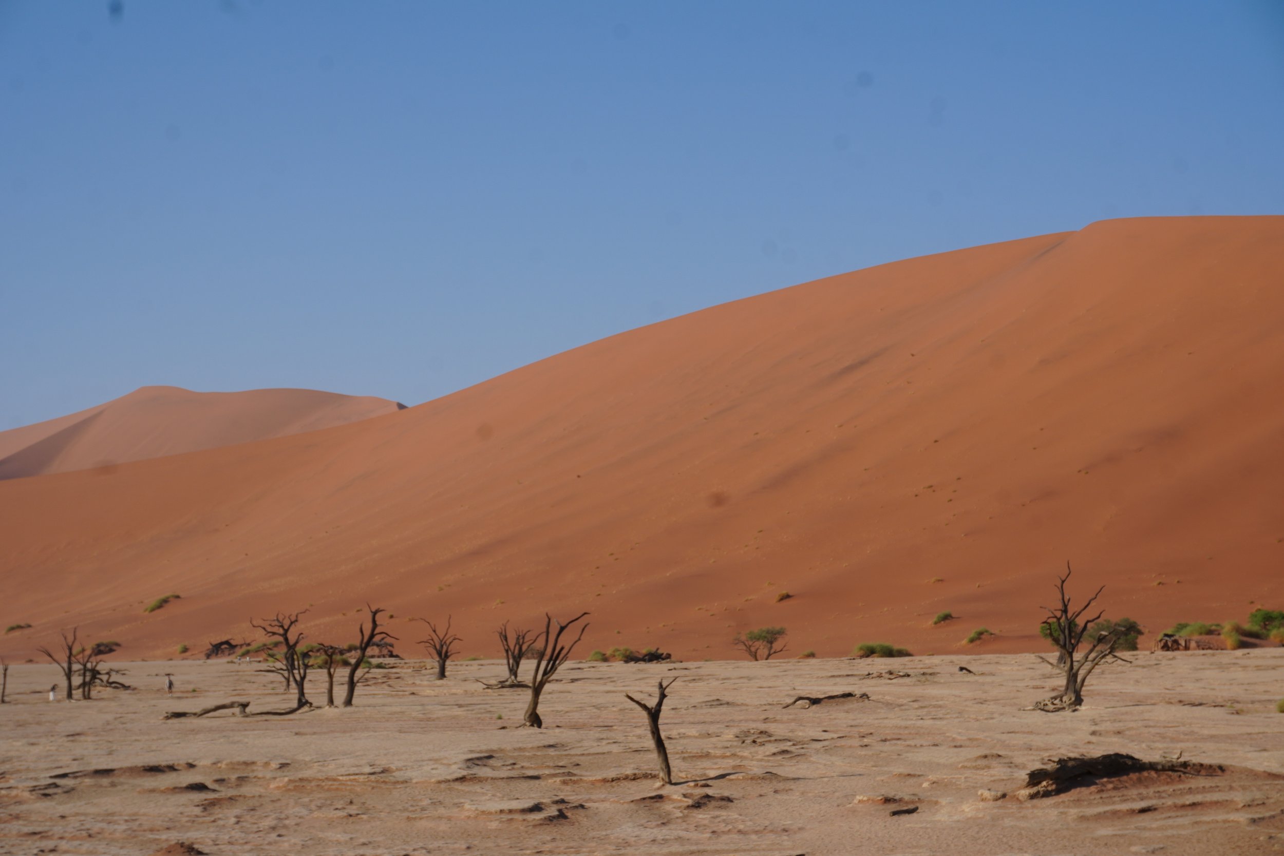 Dead Vlei © Flyga Twiga™ LLC.JPG