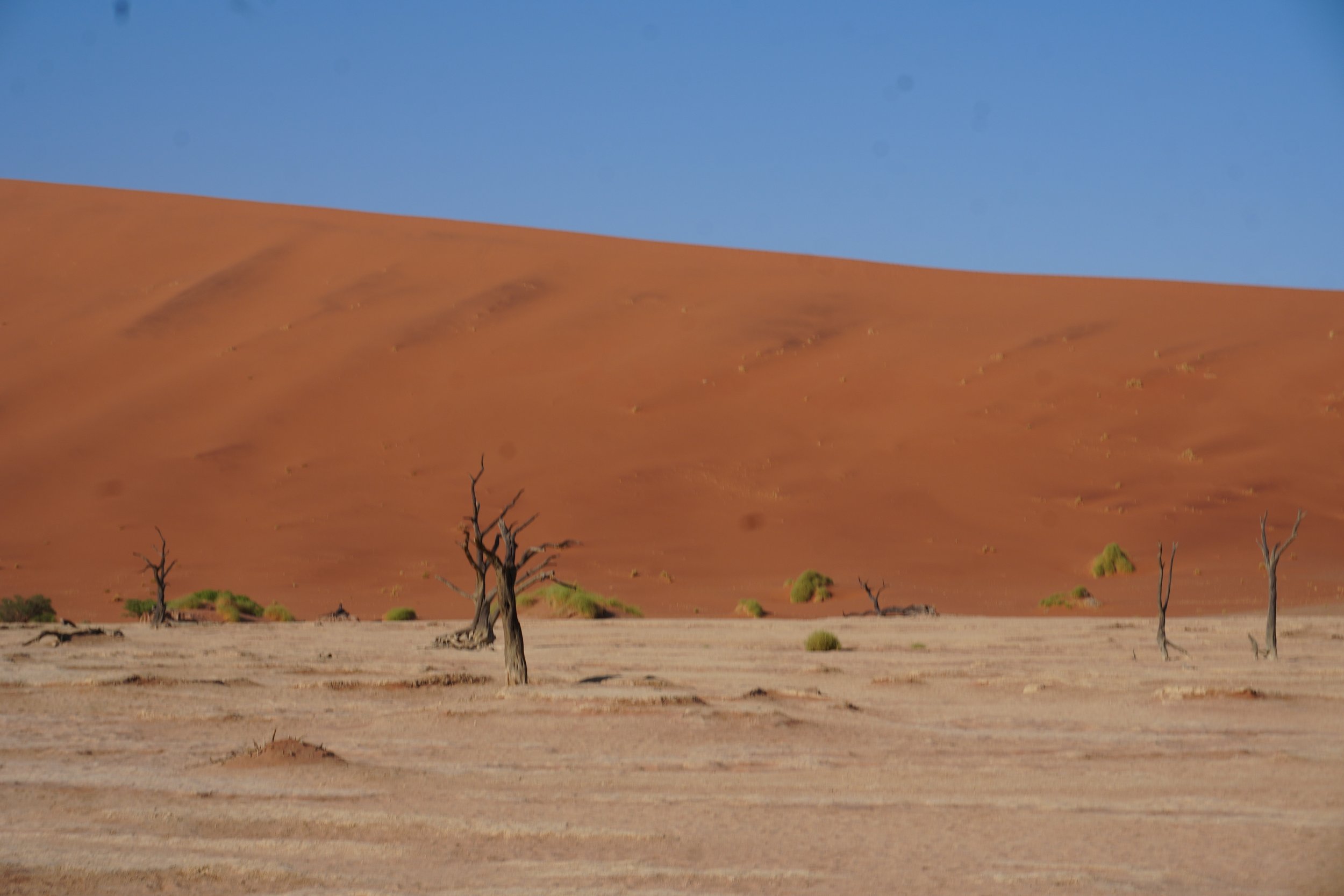 Namib-Naukluft National Park 3 © Flyga Twiga™ LLC.JPG