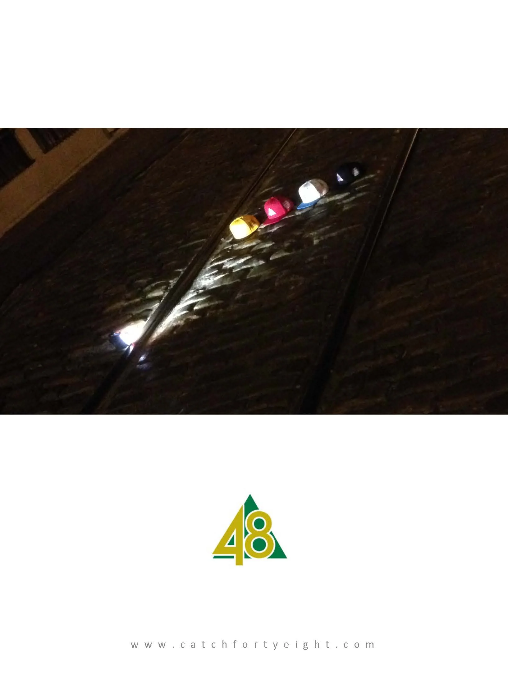 C48 Catalogue 2014 _Page_01.jpg