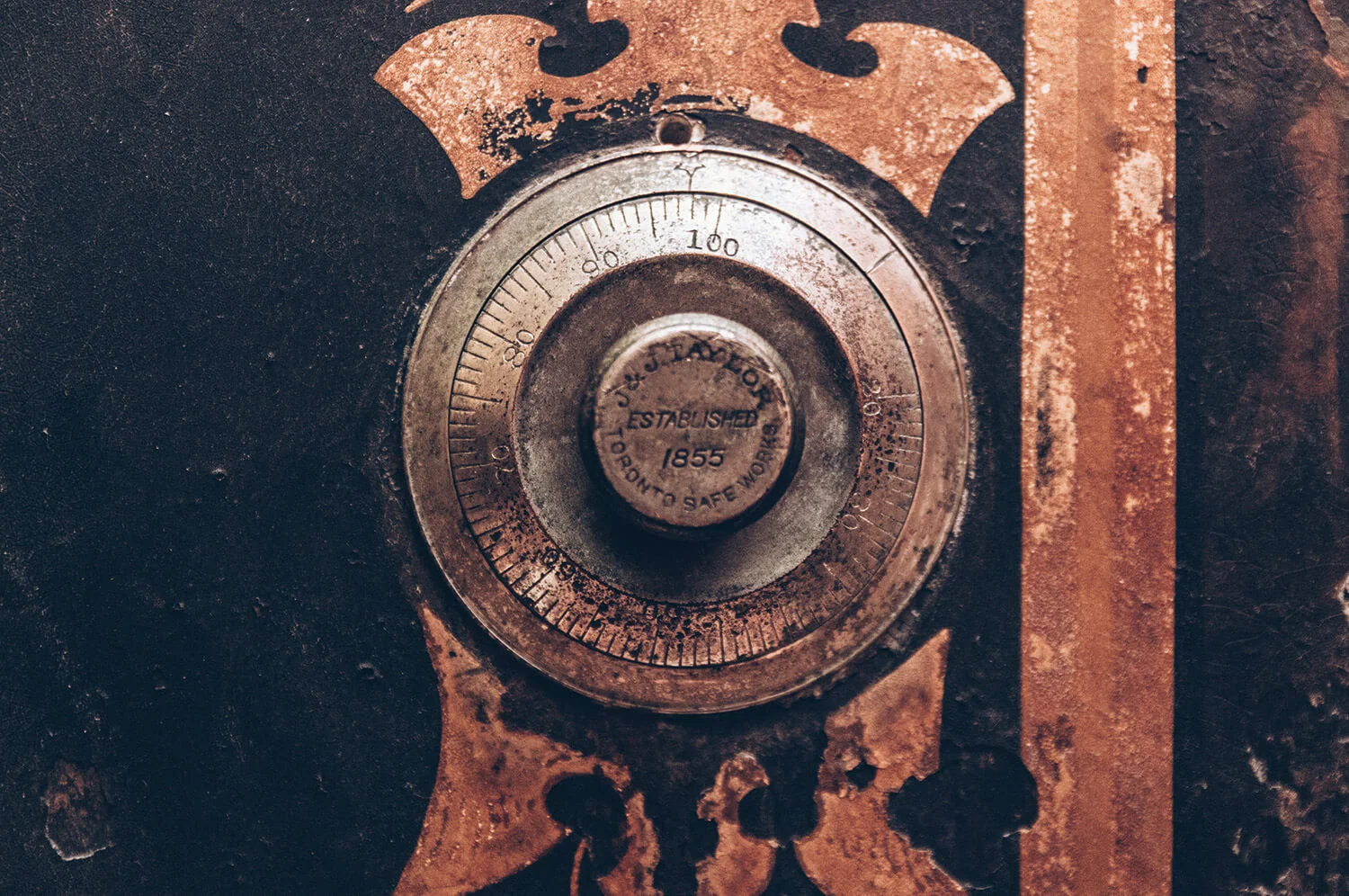 DCM-84-2.jpg
