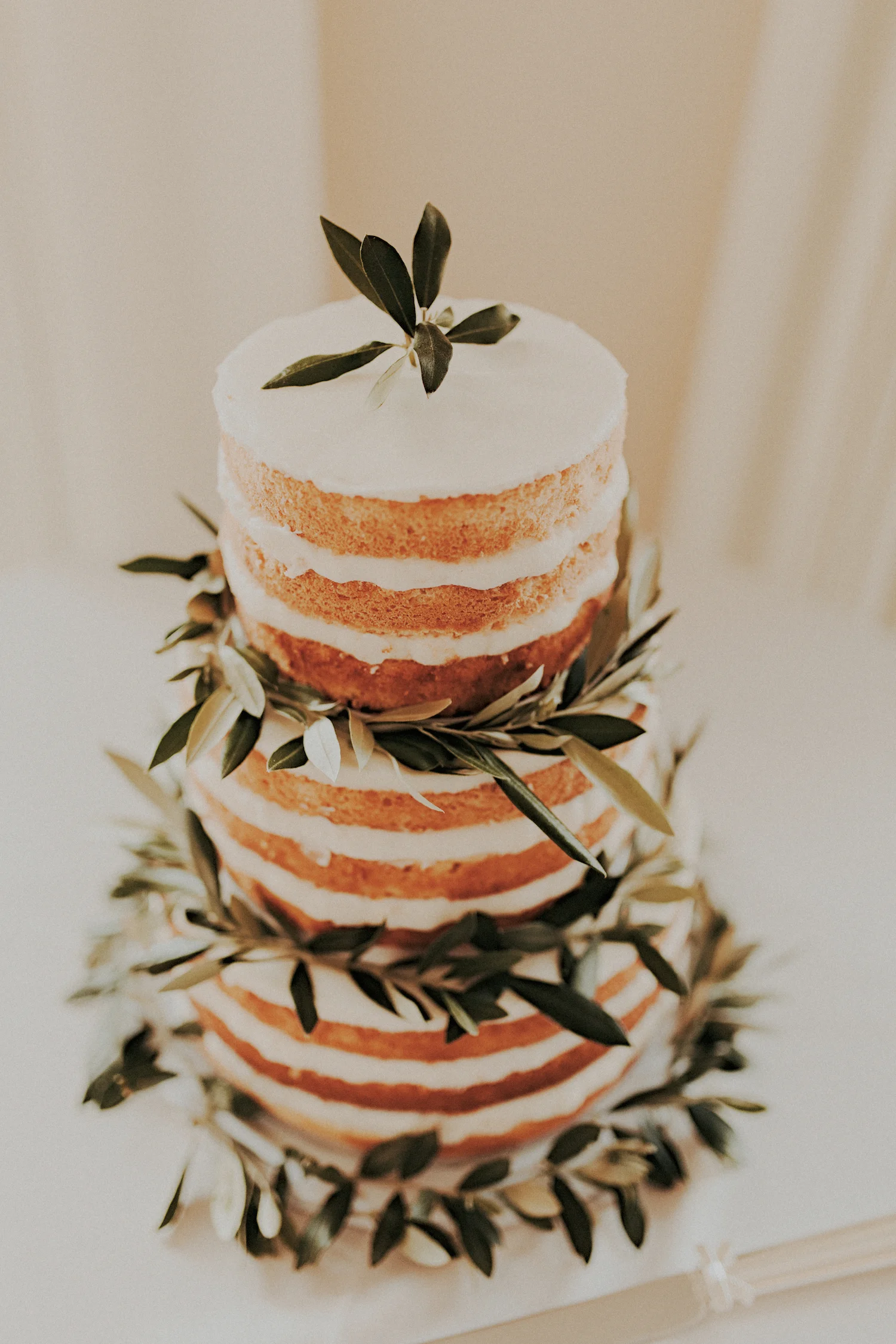 Olive branch decorated naked cake by San Diego wedding florist, Compass Floral.