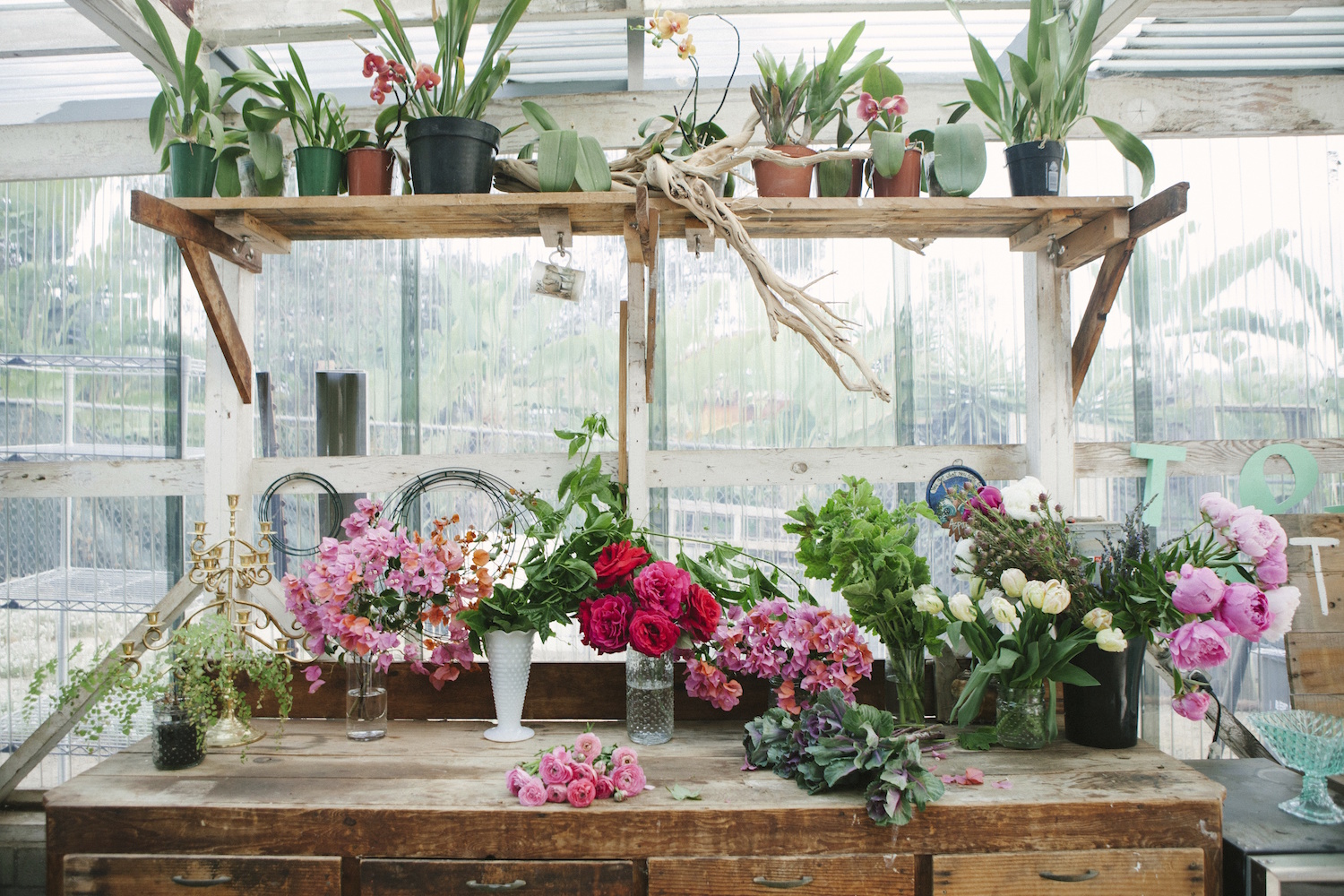 Compass Floral studio. Photography by Ashley Williams.
