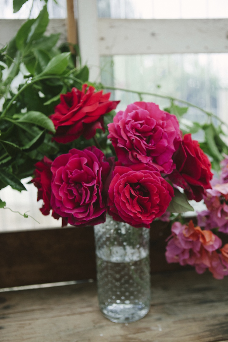 Red garden roses from Compass Florals garden. Photography by Ashley Williams.