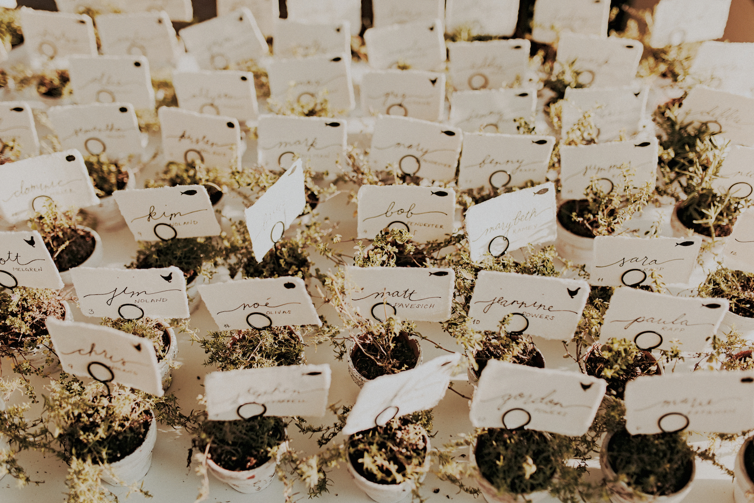 Potted herb escort cards.