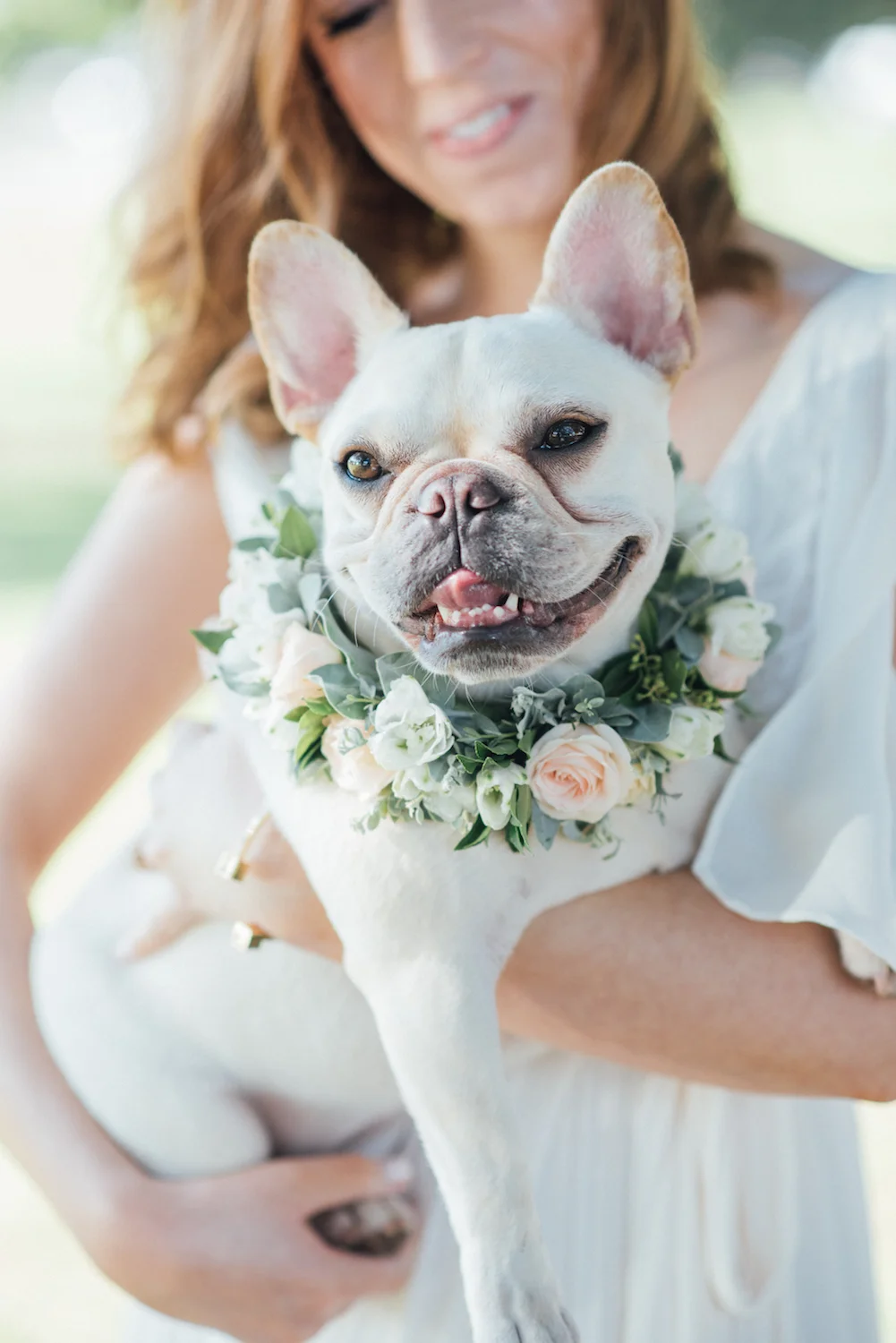 Puppy Love