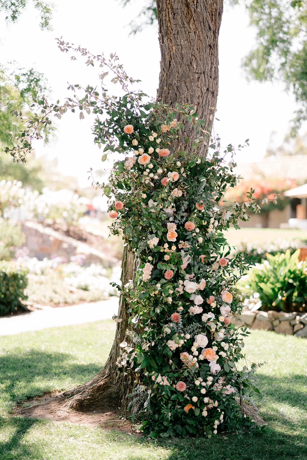 Wedding ceremony under tree floral installation | The Inn at Rancho Santa Fe | Compass Floral | Wedding Florist in San Diego and Southern California | Shane and Lauren Photography