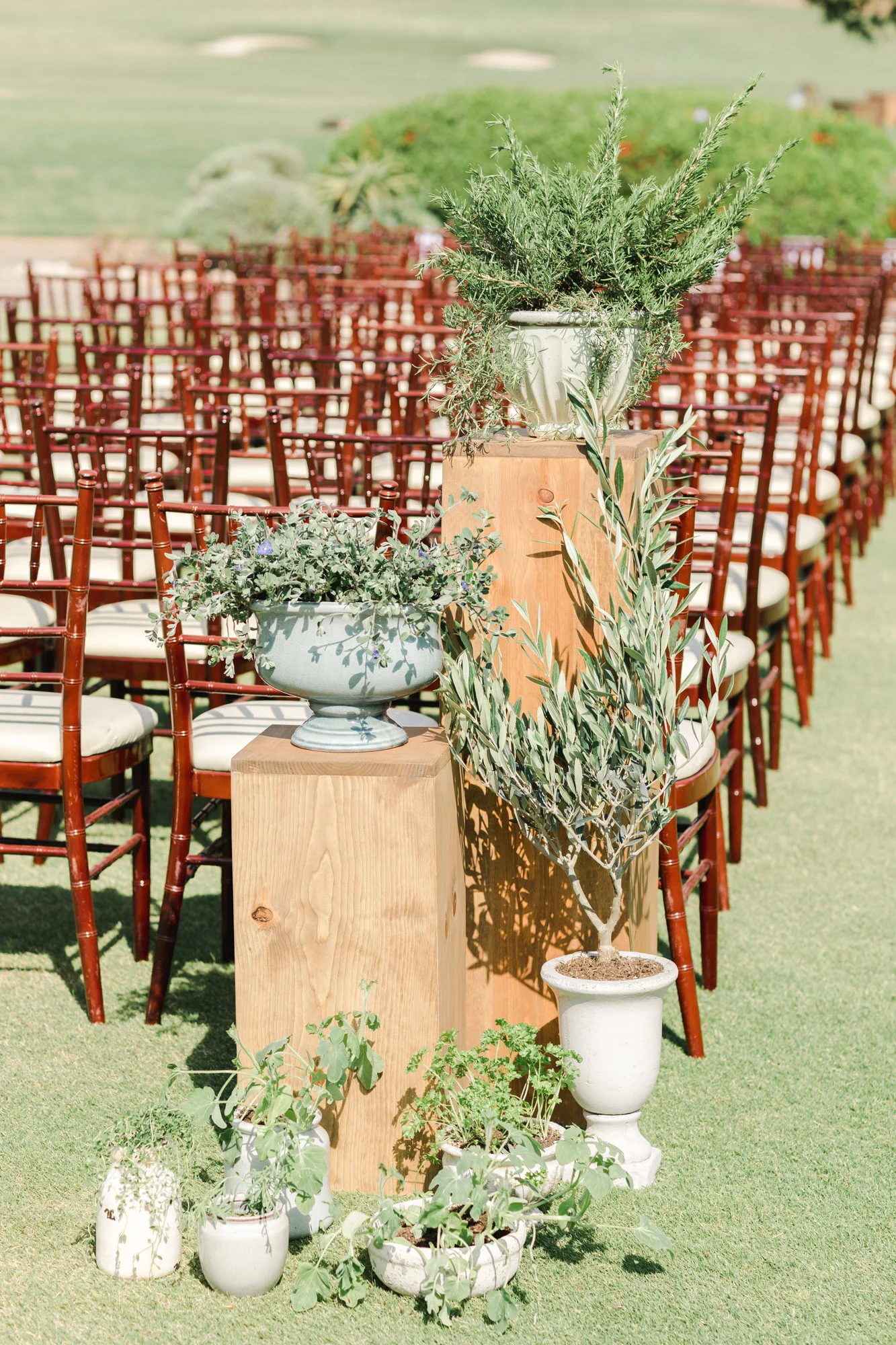 Potted herb and plant ceremony decor | The Santaluz Club | Compass Floral | Wedding Florist in San Diego and Southern California | Cavin Elizabeth Photography