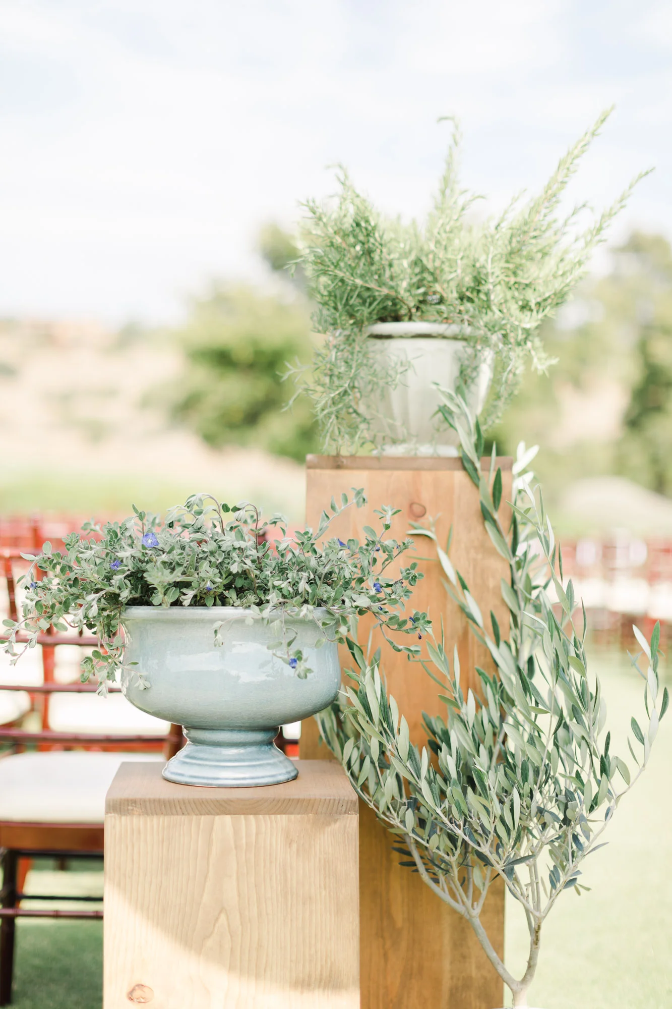 Potted plants as ceremony decor | The Santaluz Club | Compass Floral | Wedding Florist in San Diego and Southern California | Cavin Elizabeth Photography