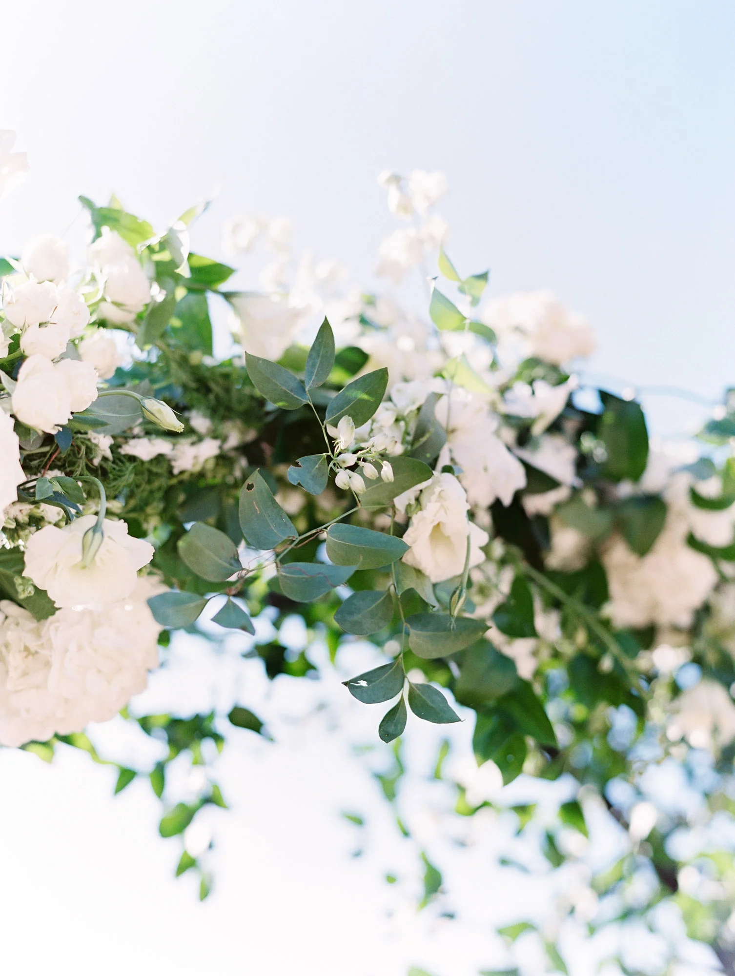 White rose and delphinium covered wedding arch | Del Mar Country Club | Compass Floral | Wedding Florist in San Diego and Southern California | Cavin Elizabeth Photography