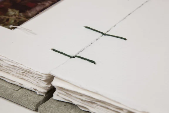 SG.gutter.stitching.jpg