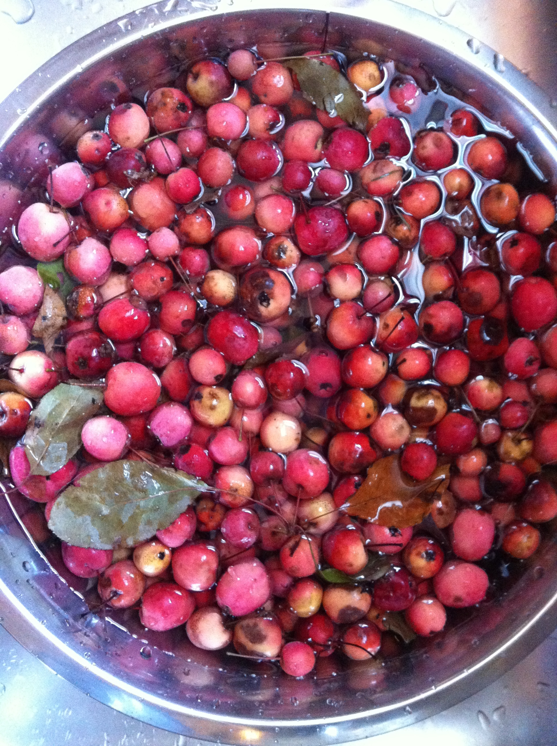 Crabapples from the house next door to one of my favorite persimmon spots. Back in September I made these into jelly with a little habanero pepper for kick.