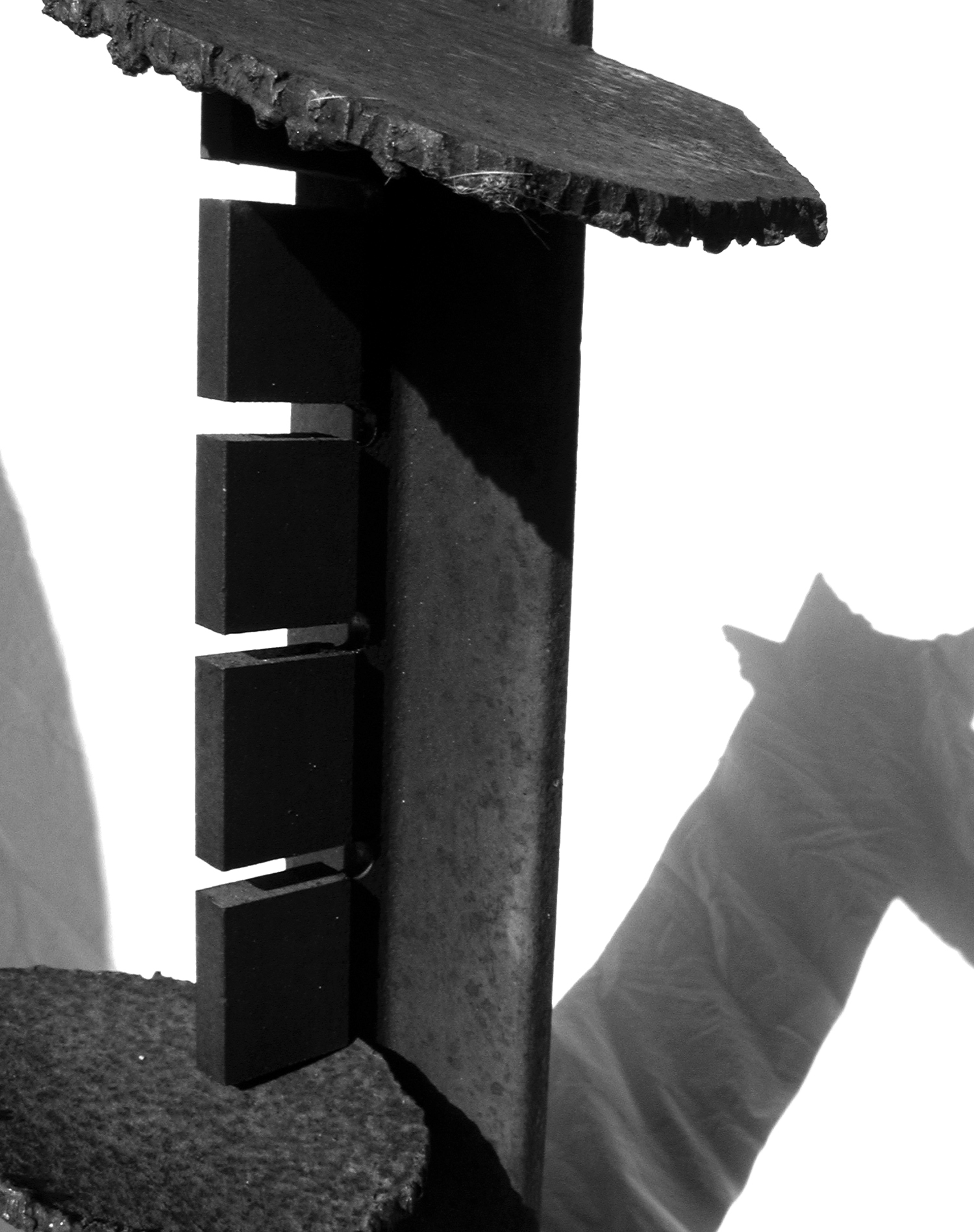 range b&w.jpg