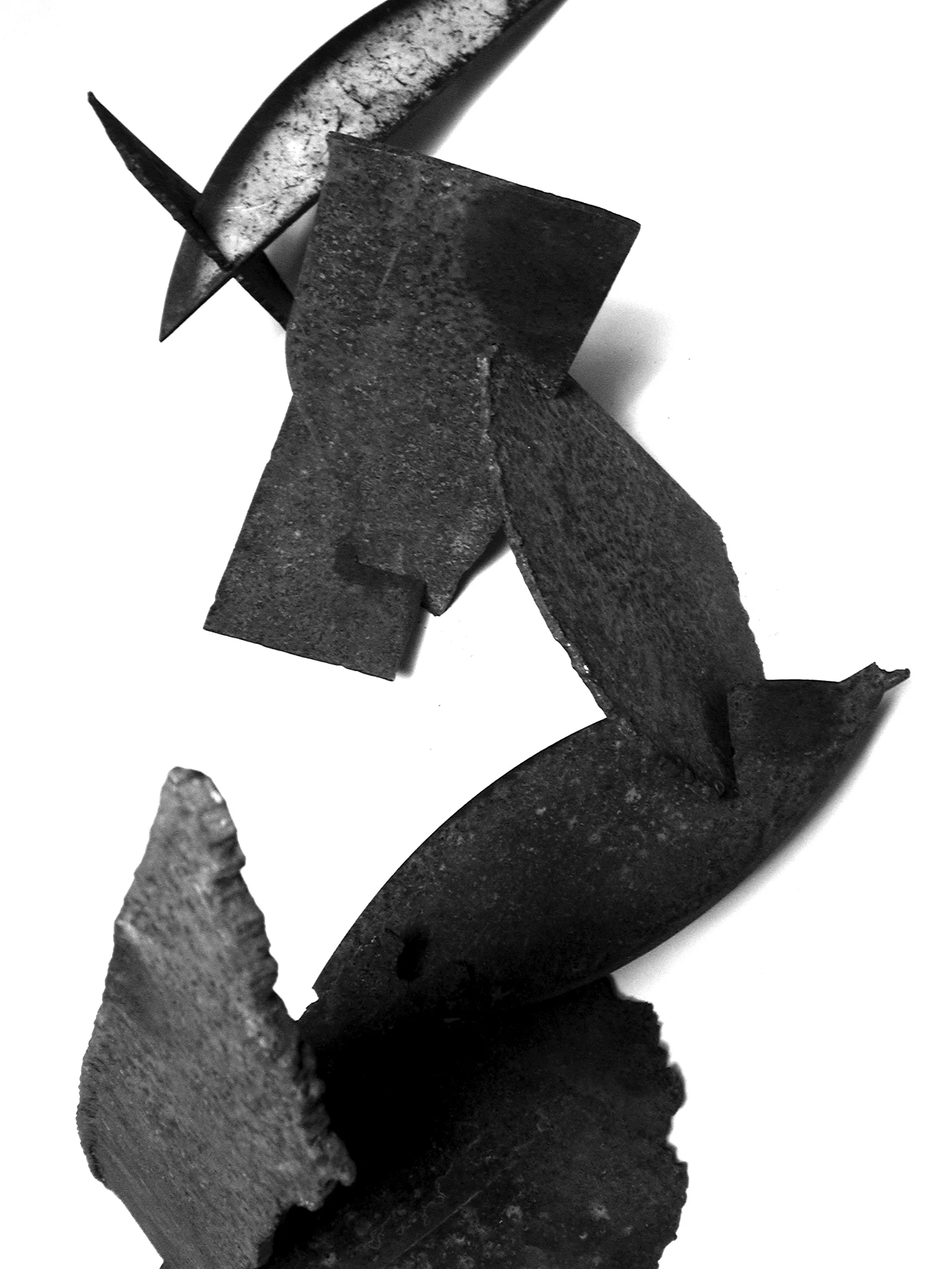 trust b&w.jpg