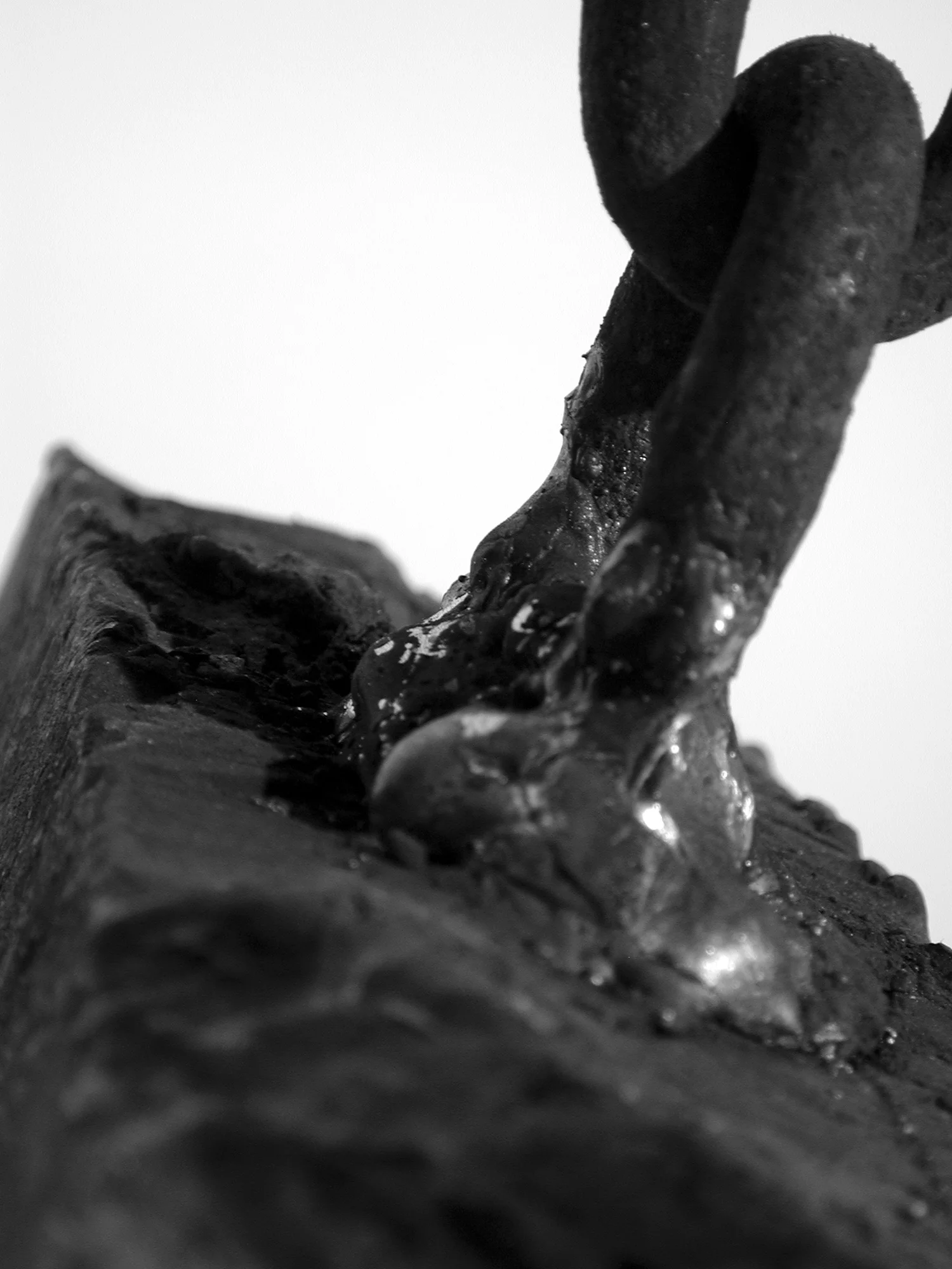 savor b&w.jpg