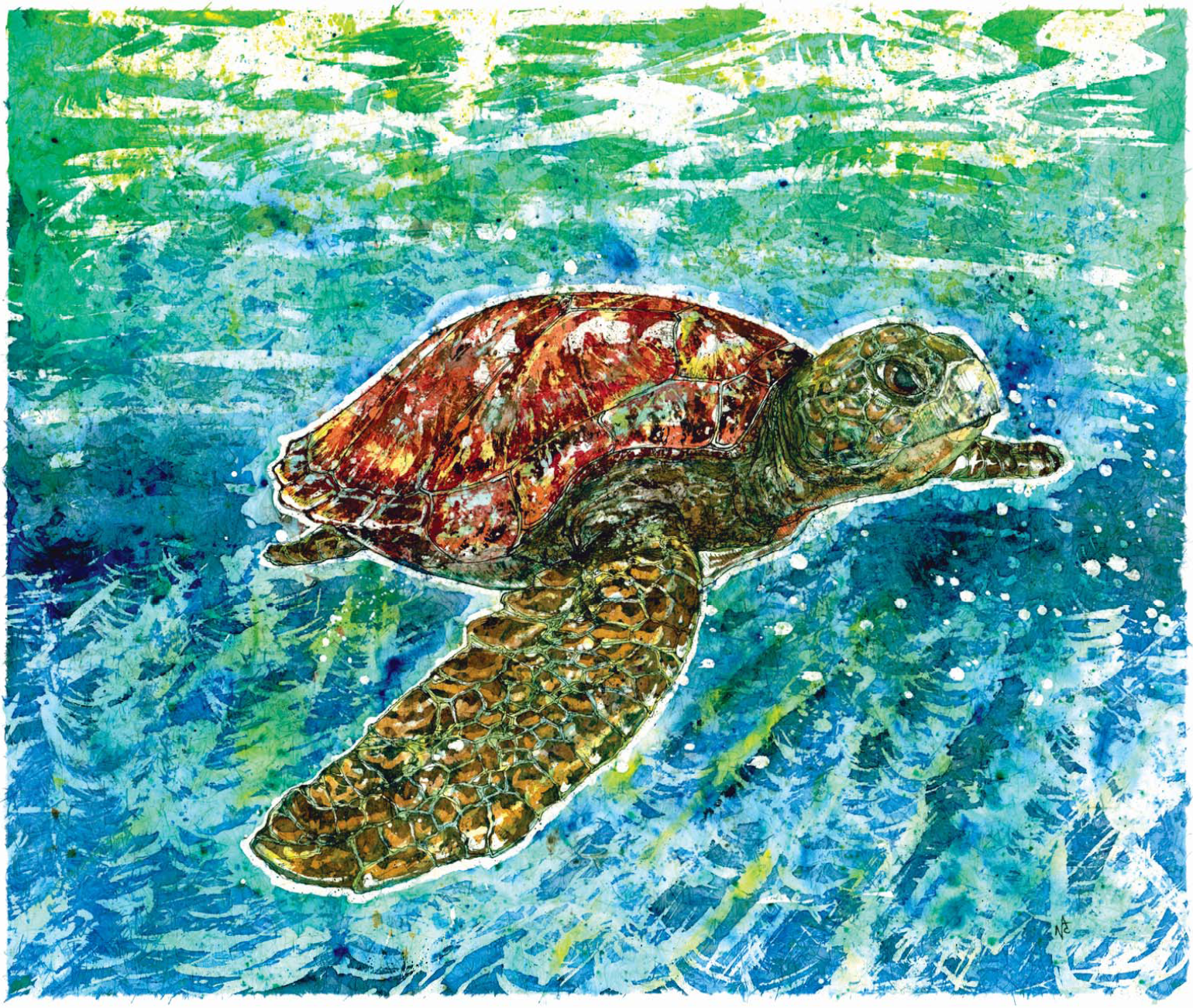 "Gulf Turtle"