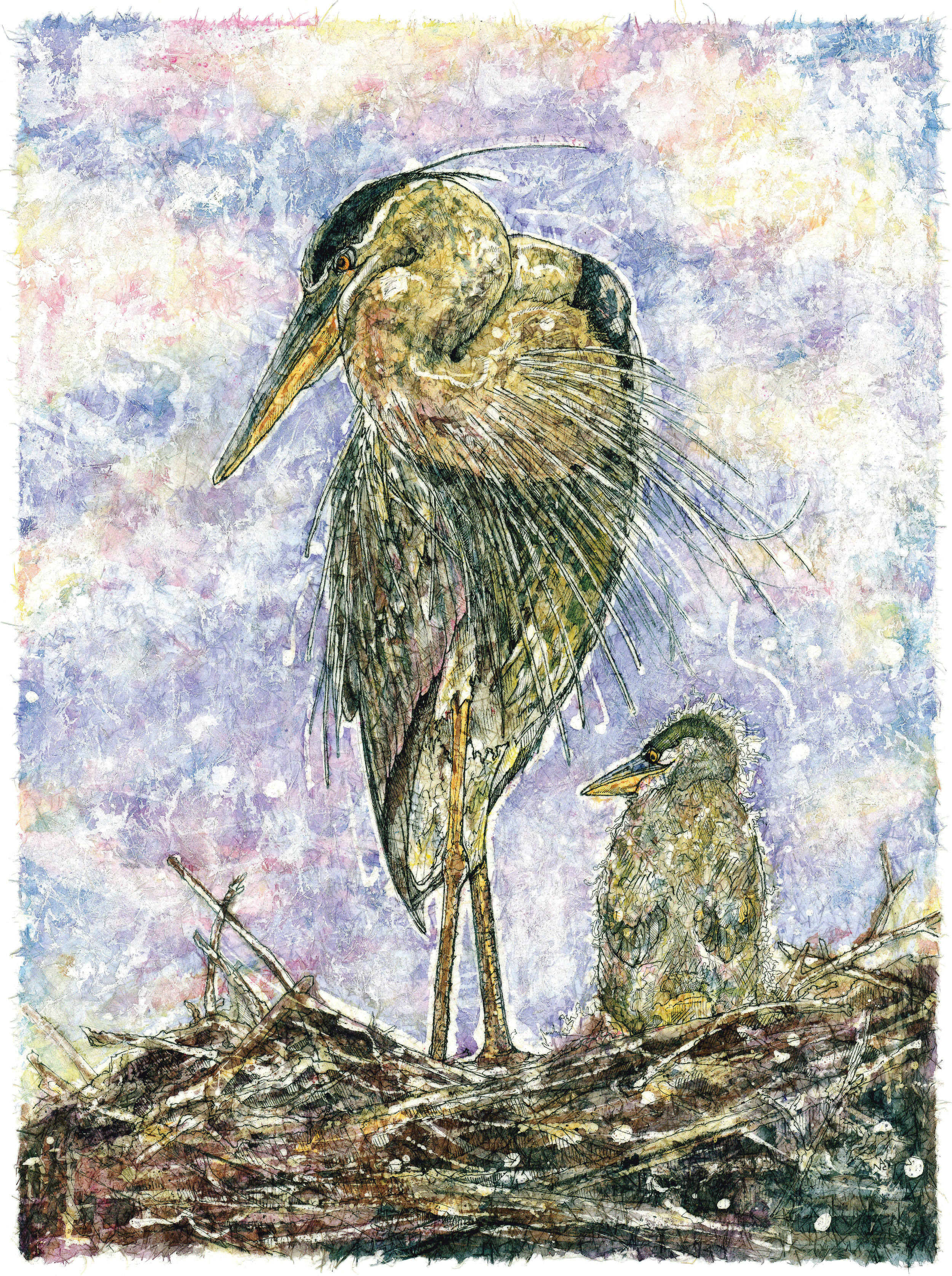 "Great Blue Progeny"