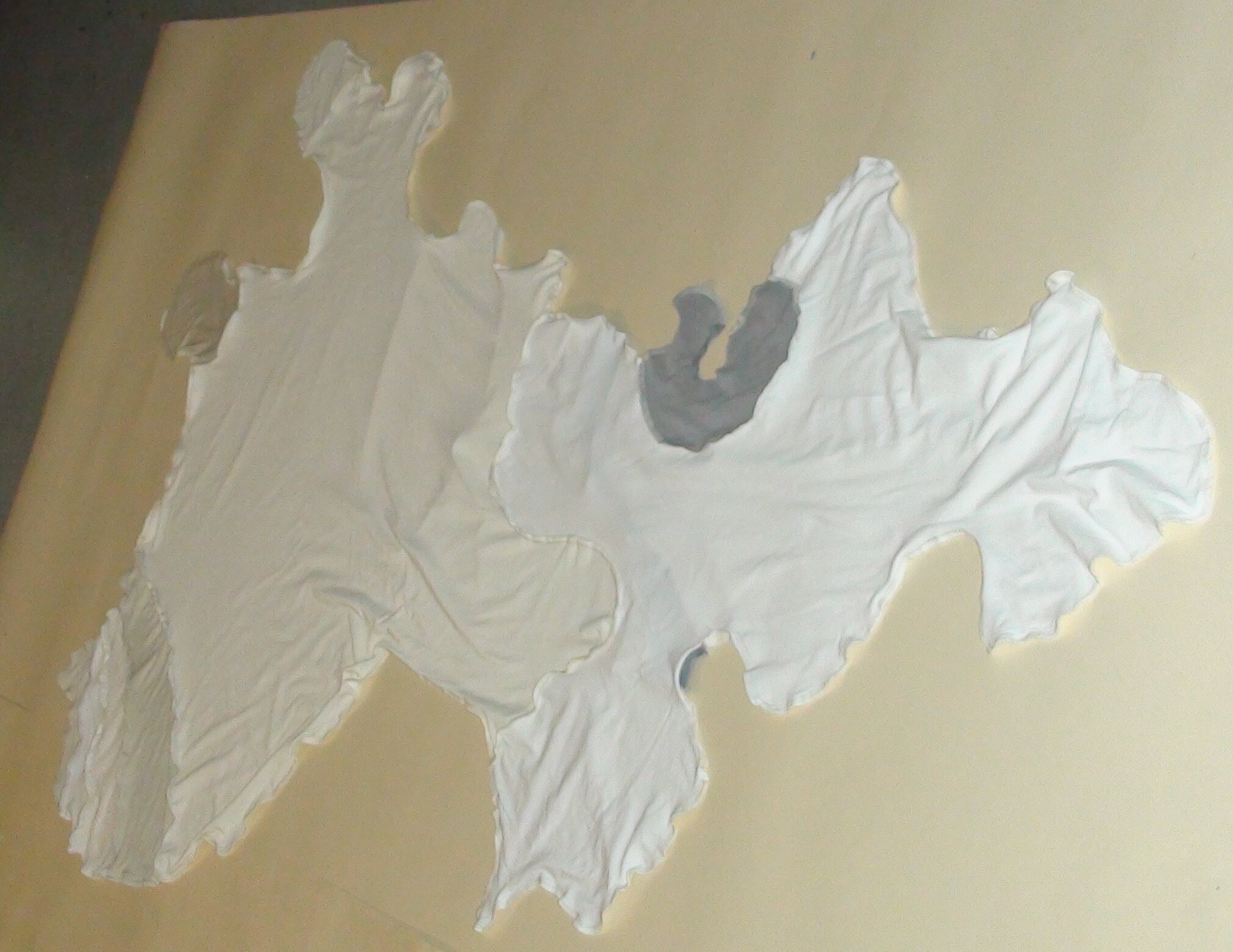 DSC00046.JPG