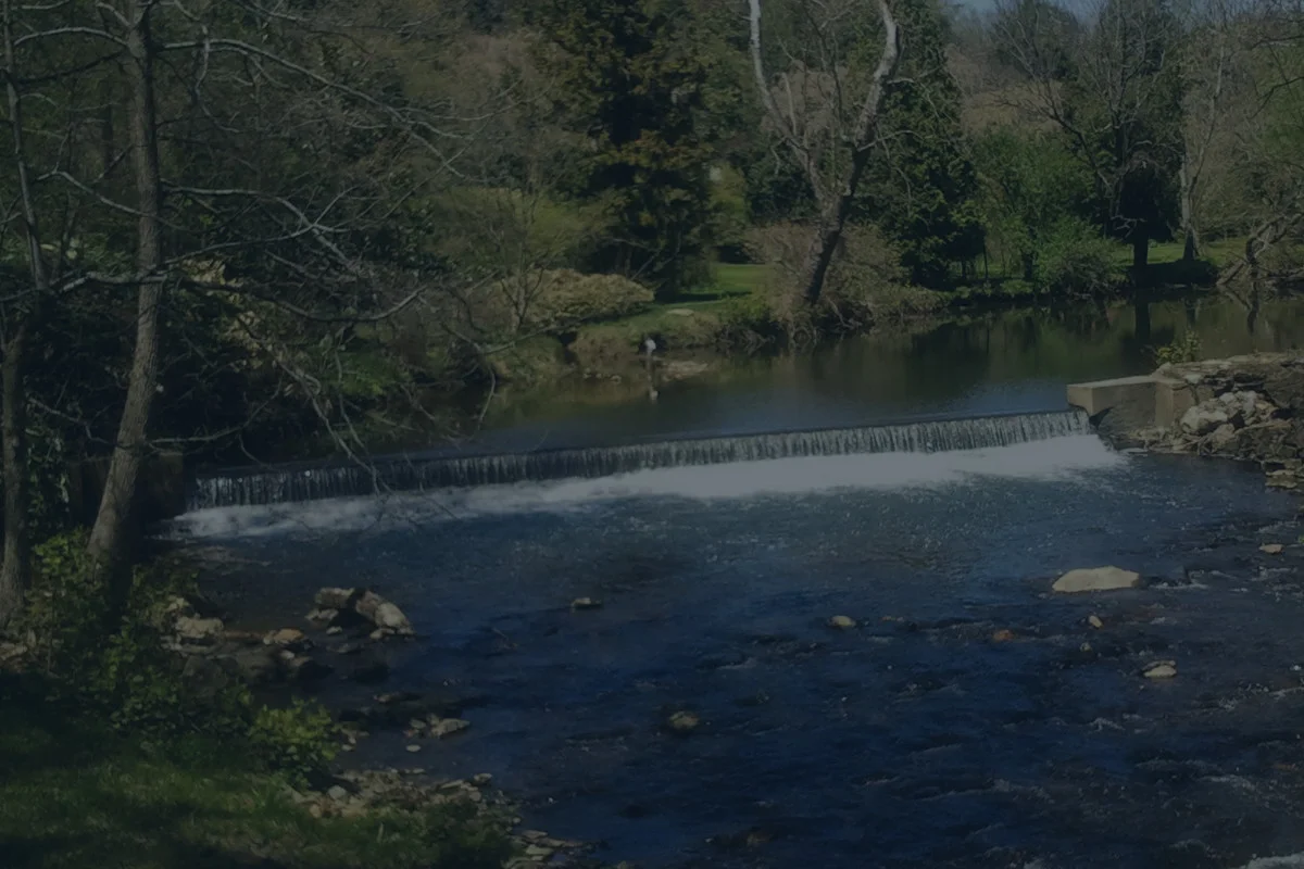 Creek-Banner.jpg