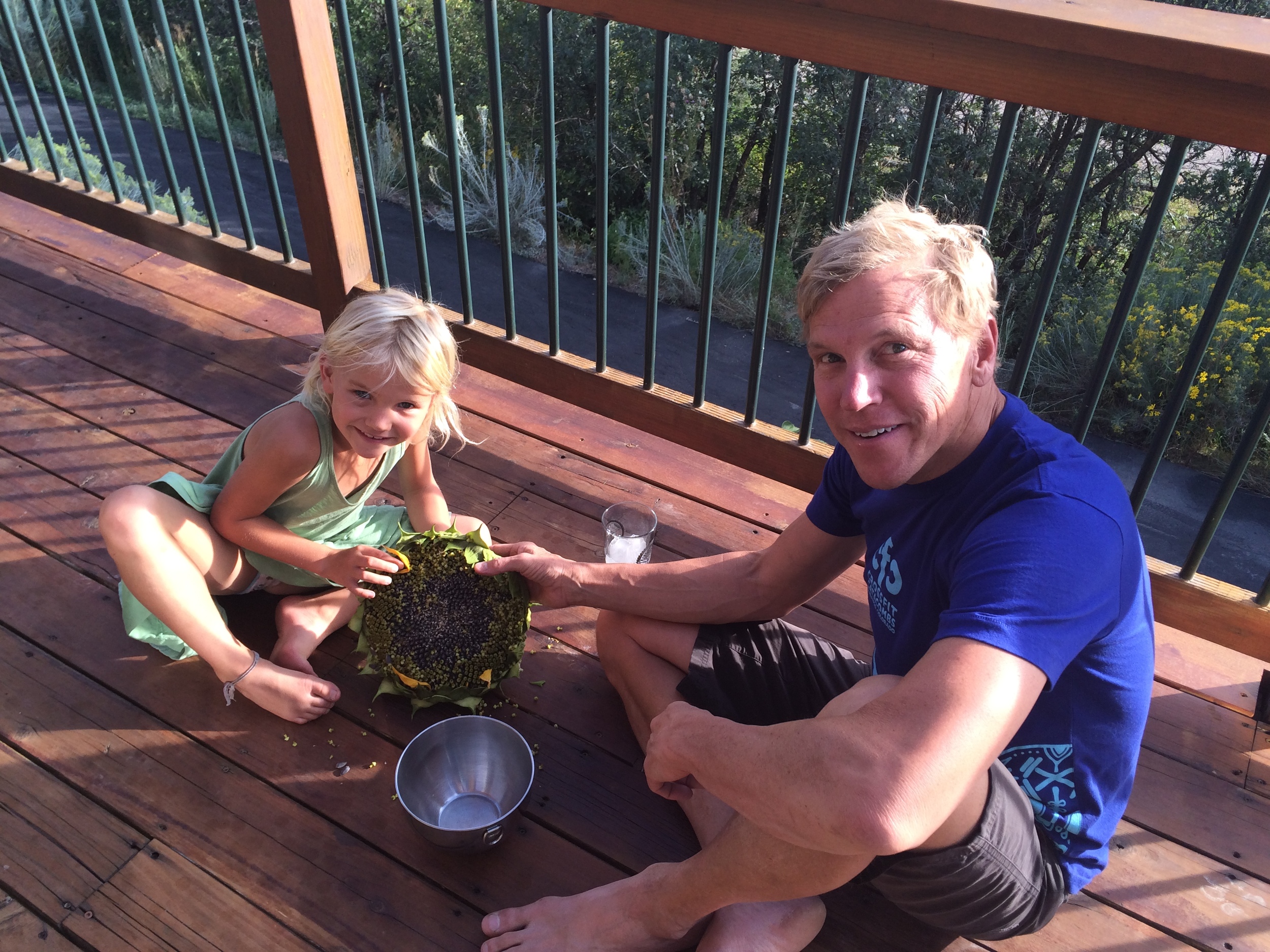 Harvesting sunflower seeds this weekend. No Nature-Deficit-Disorder here.
