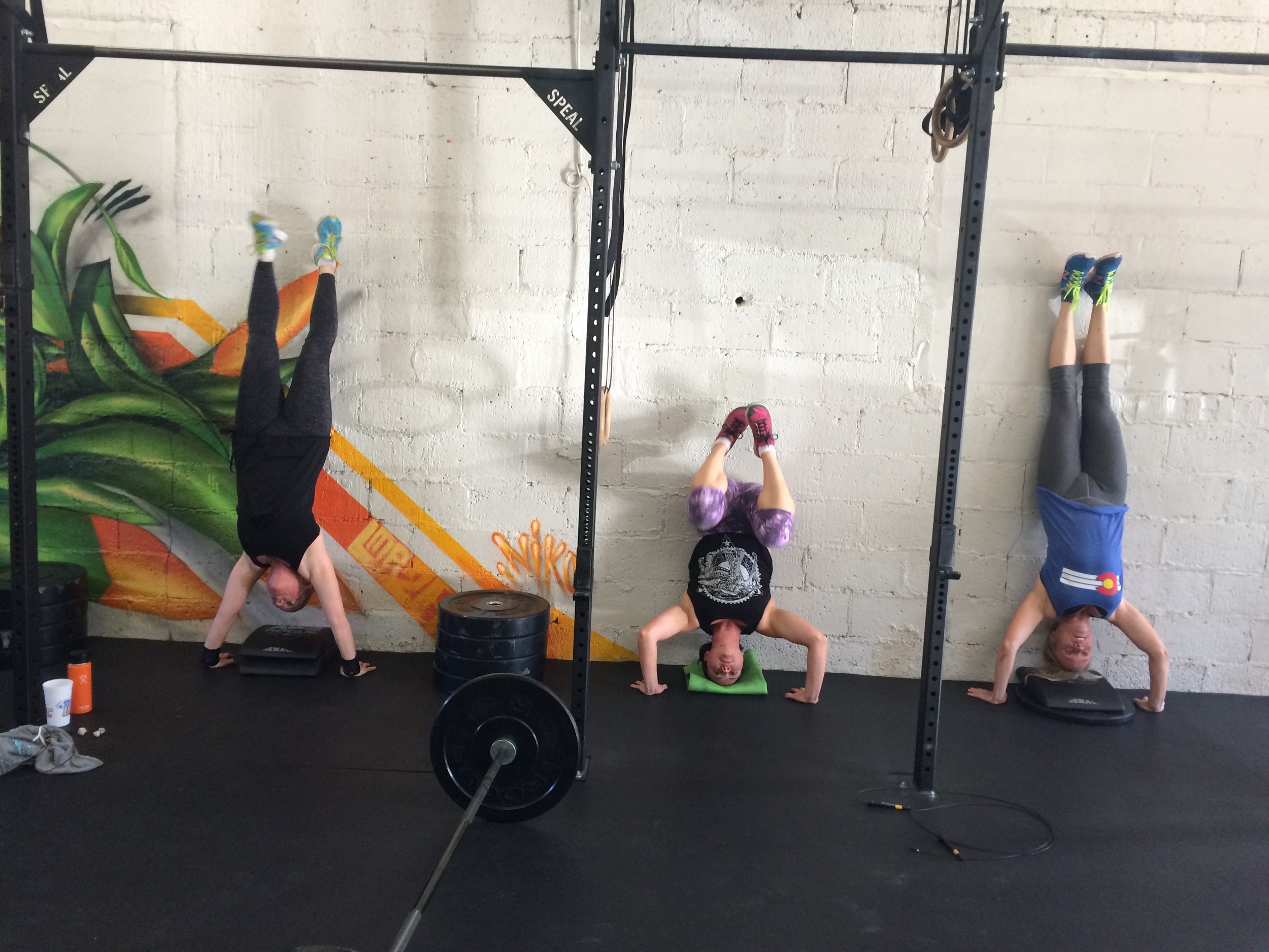 All varieties of handstand push ups yesterday!