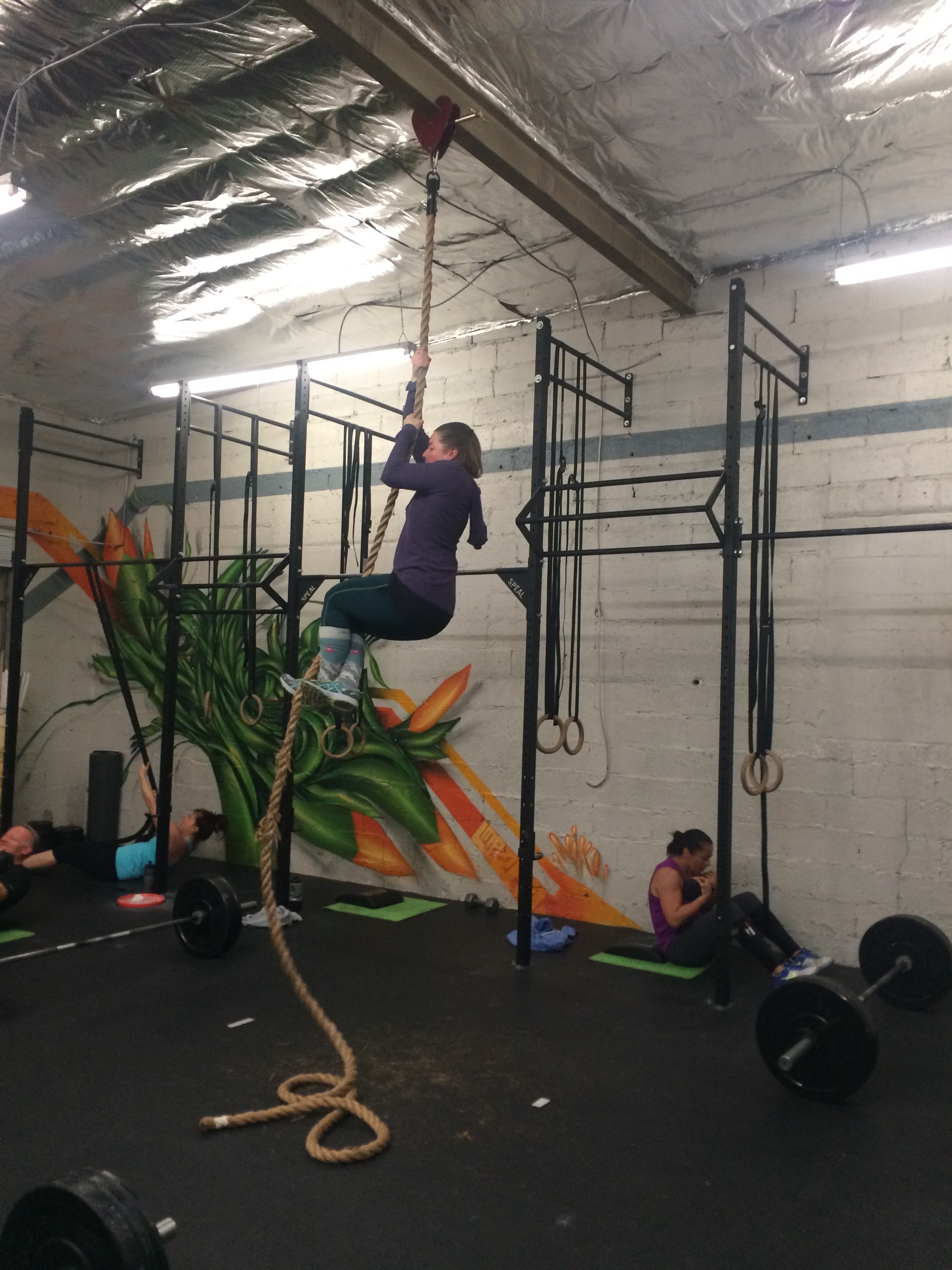 Mrs. X (aka Amy) getting after some rope climbs last week.