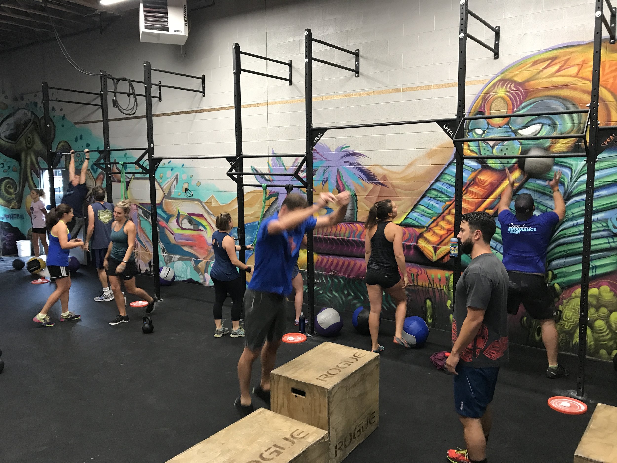 Welcome to your new home Catacombs athletes.