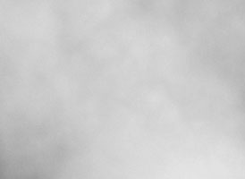 “Mist” also conjures nuptial effects: misty eyes, the sheer veil, or the thick atmosphere of emotion. “Hackles” are mammalian erectile hairs (like the ones on the back of your neck), which rise in response to strong emotion: fear, excitement, awe, anticipation.