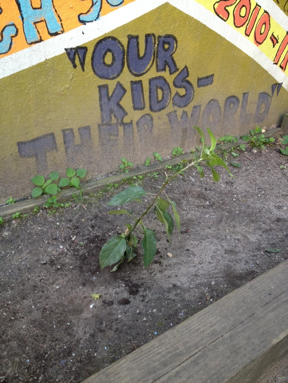 Laurel's Kindergarten Class