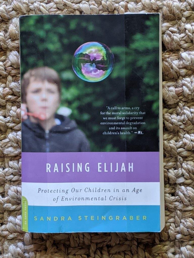 Raising Elijah: Protecting Our Children in an Age of Environmental Crisis - Sandra Steingraber